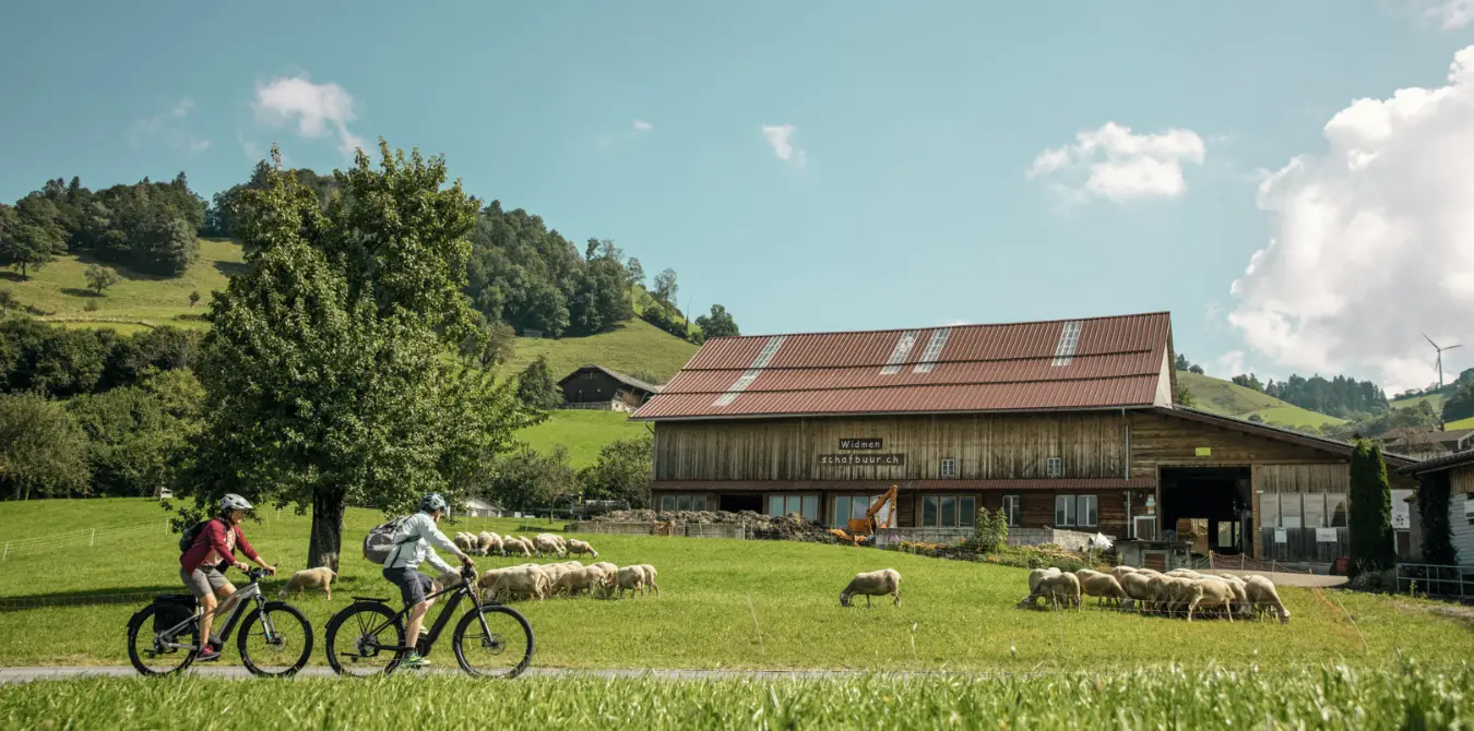 E-Bike-Tour Route 1291 Schweiz