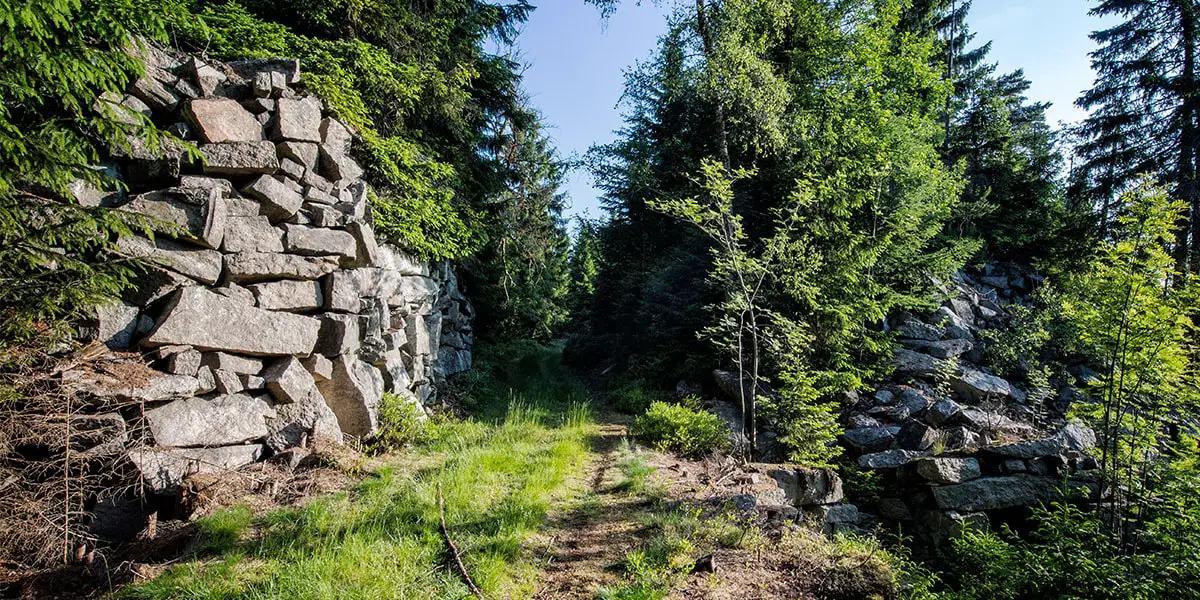 4_ Fichtelgebirge _ Steinbruchwanderweg © Florian Trykowski-min