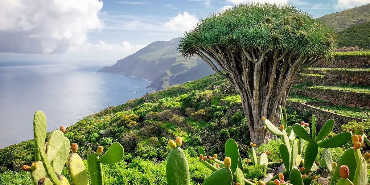 La Palma, Kanarische Inseln, Wandertouren