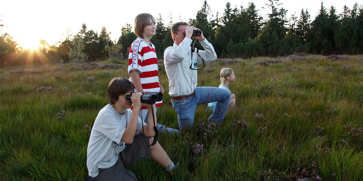 4_Nationalpark_Schwarzwald_Nature-Watch-Tour_Ulrike_Klumpp-min