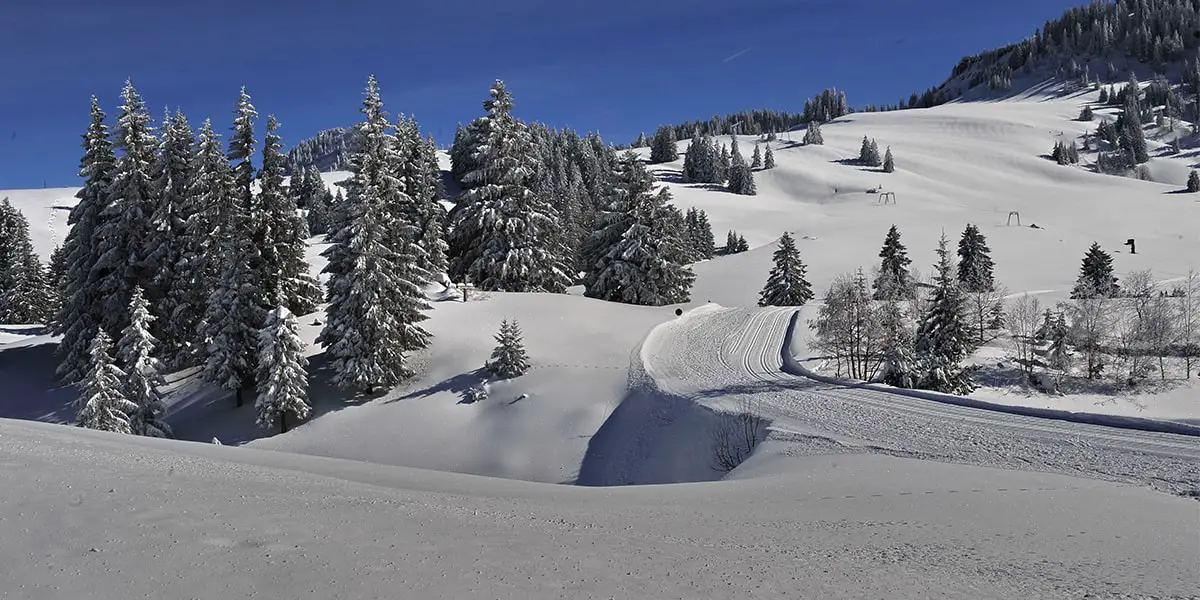 Schneeschuhwanderung im Allgäu - Wintertipps Oberstaufen