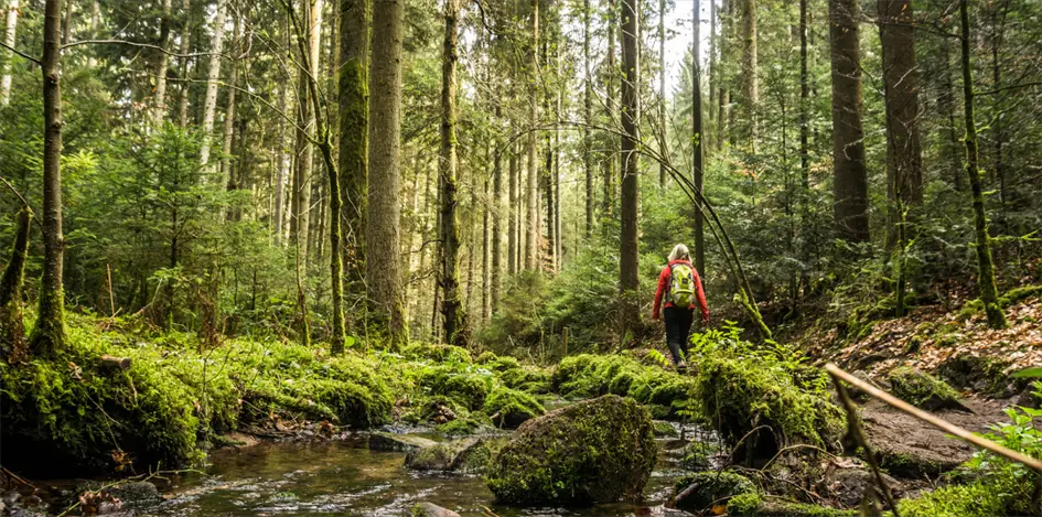 Nördlicher Schwarzwald Stiefelreisen