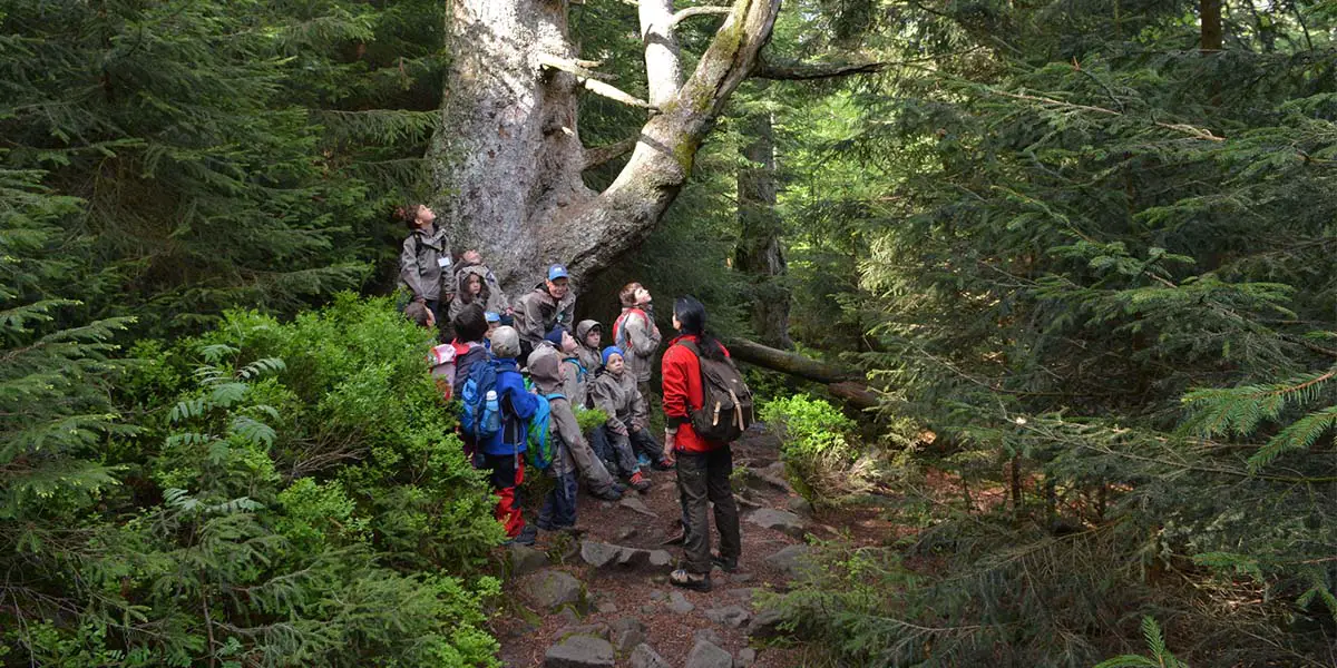 5_Juniorranger_Nationalpark_Schwarzwald_Charly_Ebel-min