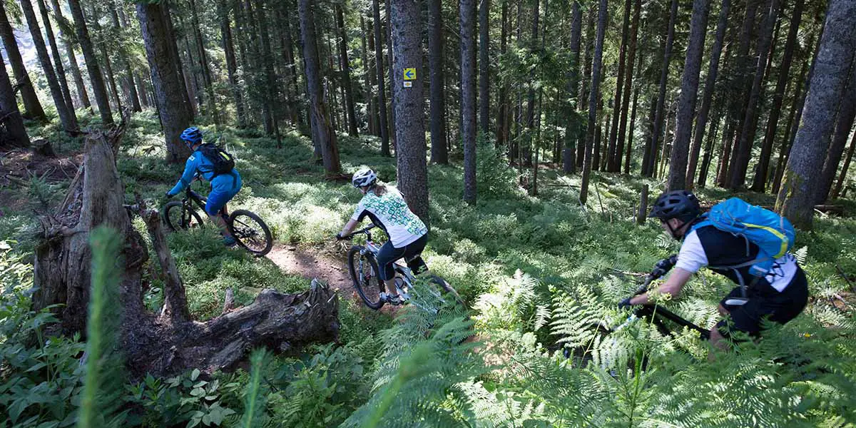 Mountainbike Baiersbronn