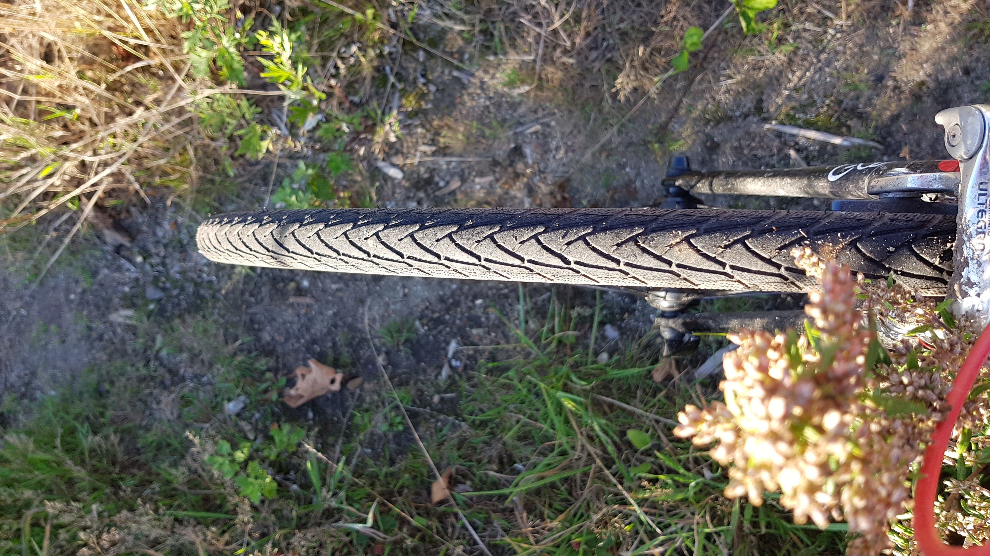 auf Feldweg, Gravelrennen
