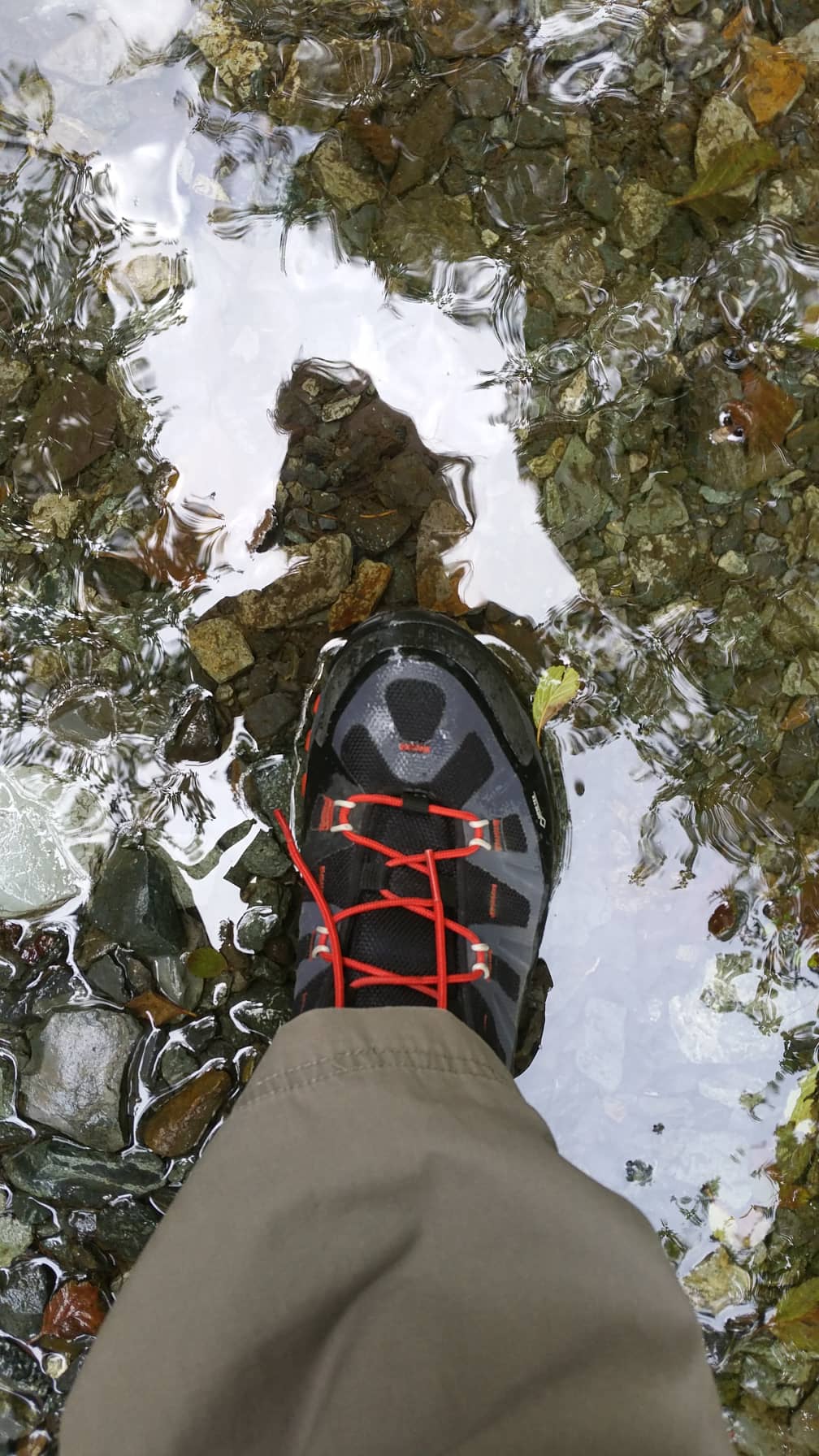 Schuh von oben