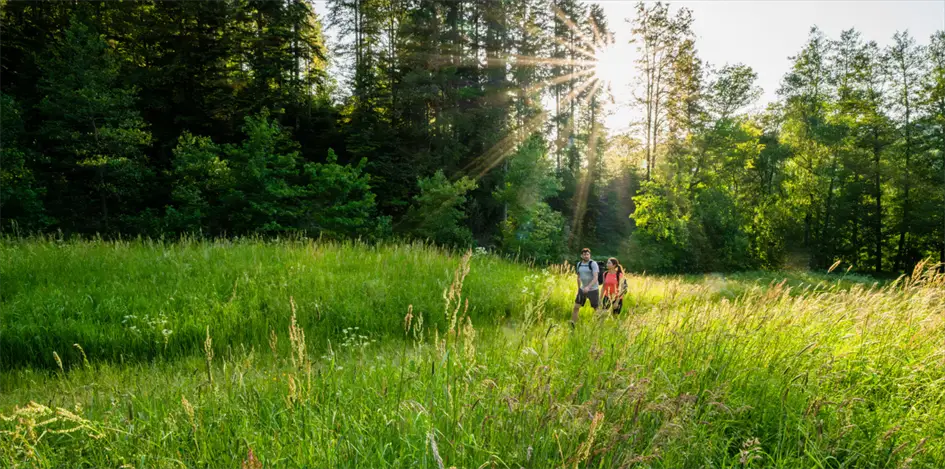 Nördlicher Schwarzwald Stiefelreisen