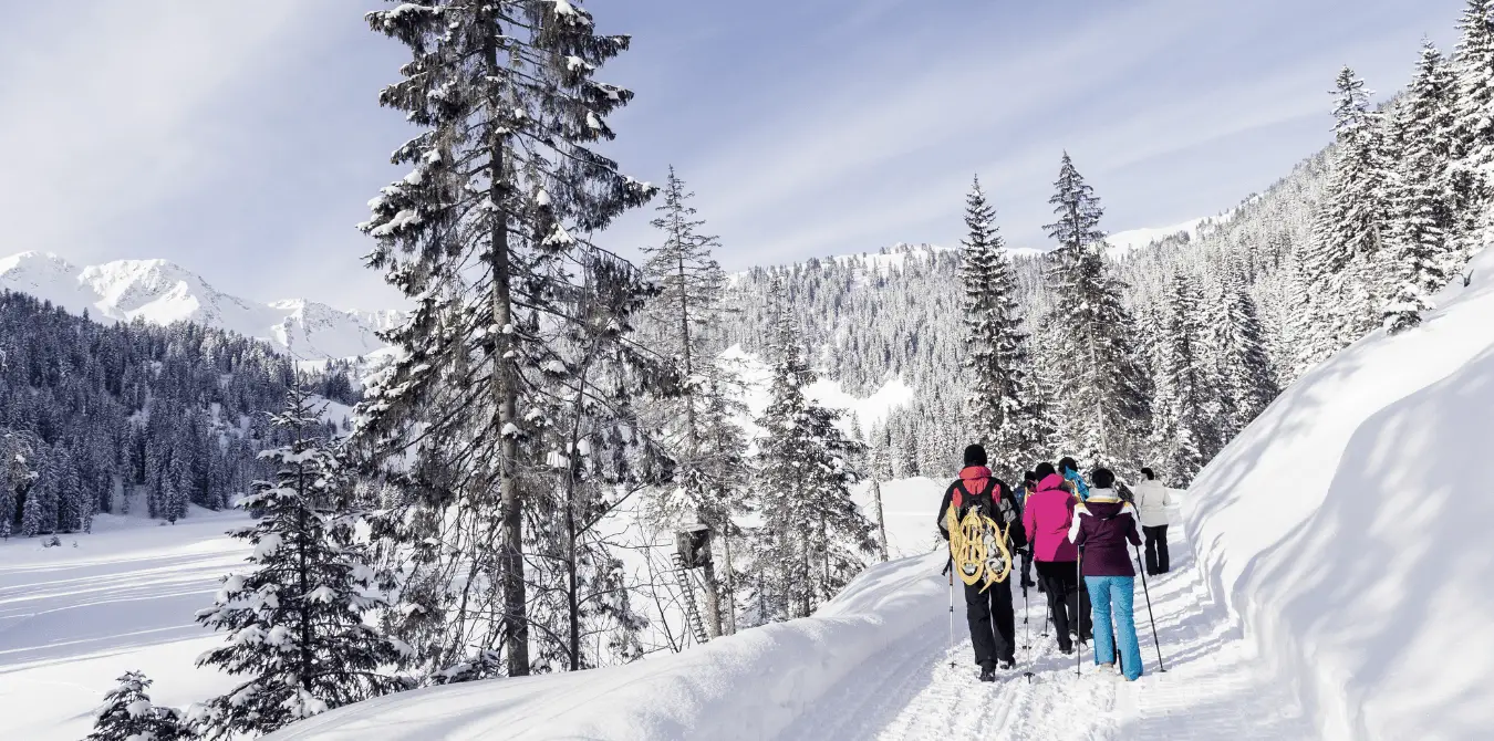Malerische Winterwanderung entlang des Schwarzwasserbachs von Hirschegg zur Walserschanz