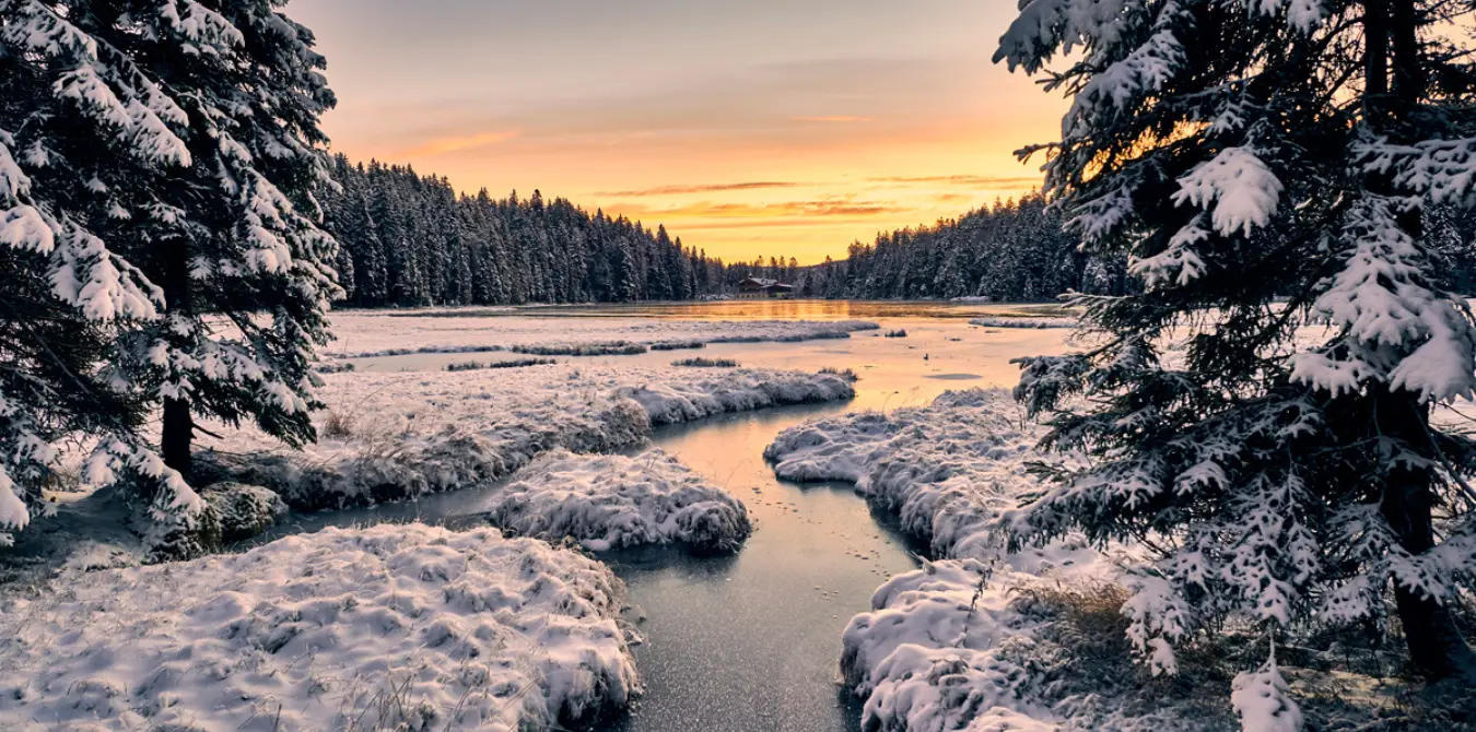 Winterwandern Bayerischer Wald