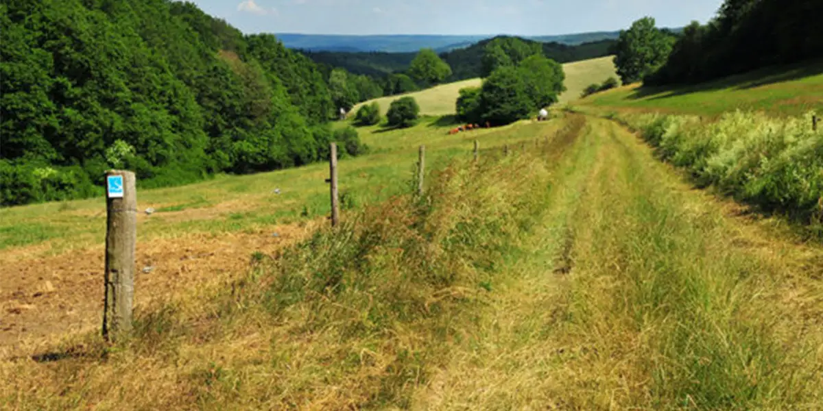 8_ranseler-hoehenrausch- Wisper Trails