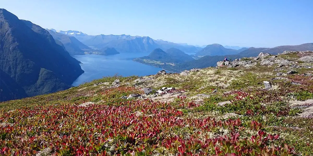6_wanderungen_fjord_norwegen_Romsdalseggen_KristinaBieda-min