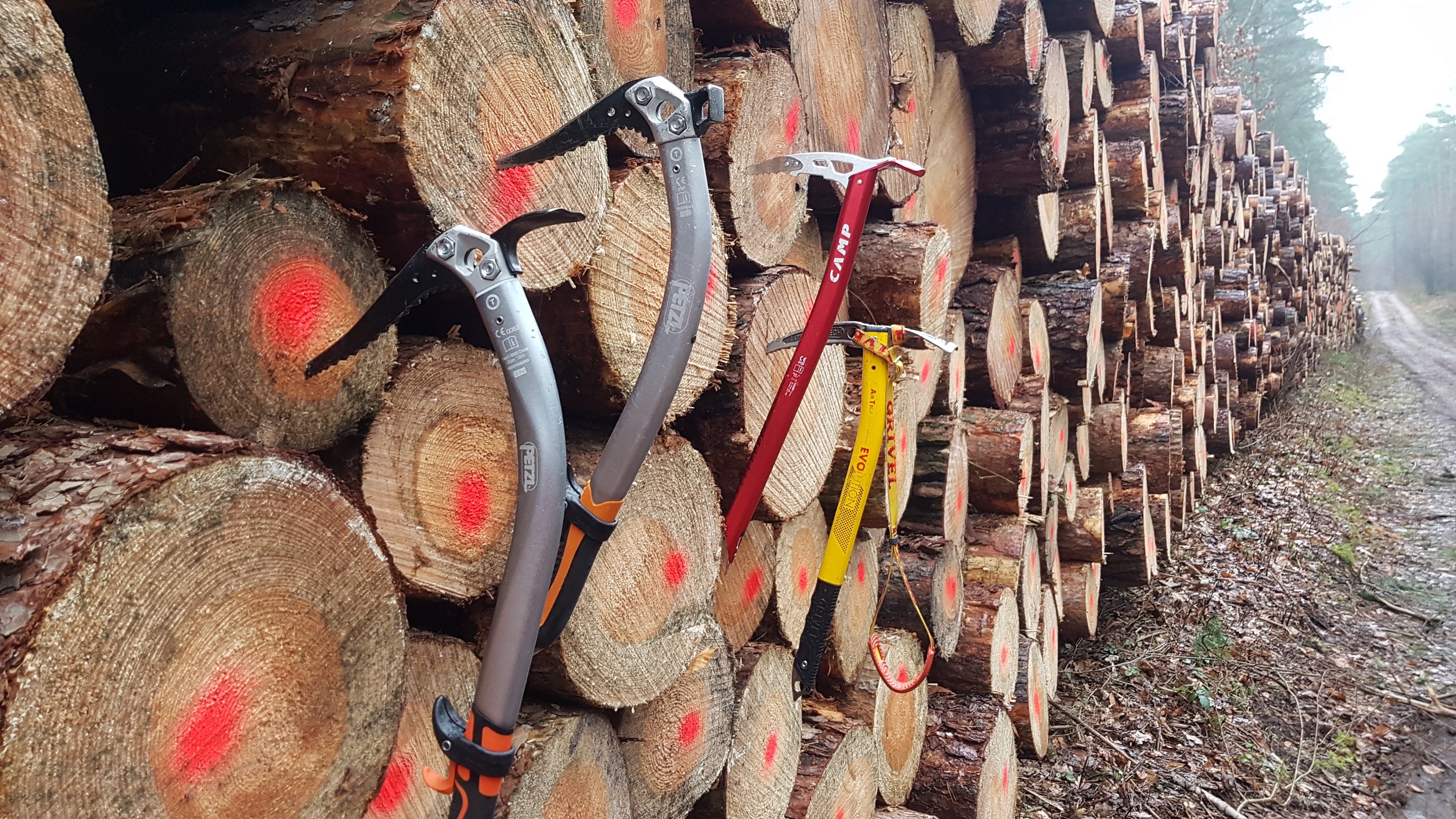 Holztest