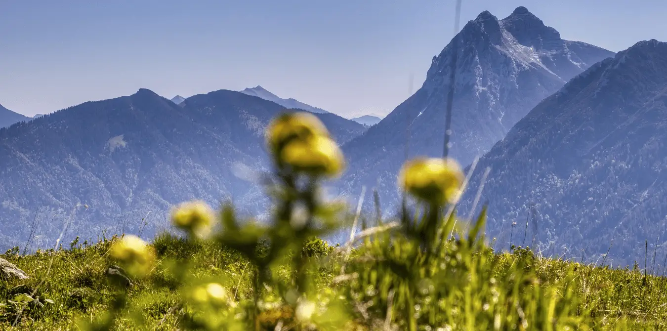 Die Naturlandschaft am Achensee