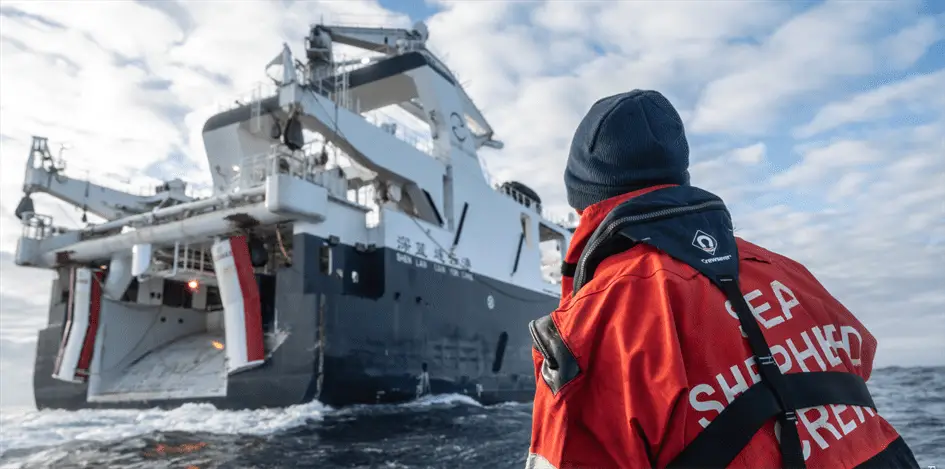 OCEAN FILM TOUR 2024 - OUTSIDEstories