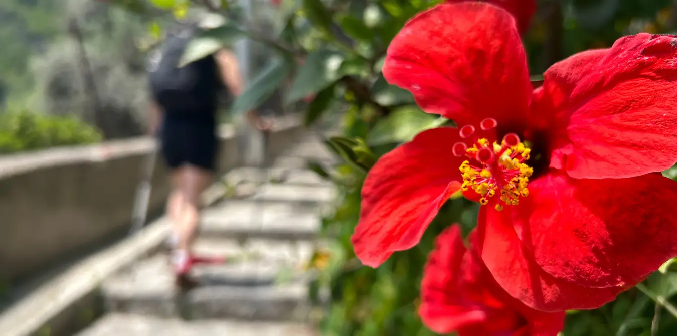 Amalfi-Küste Wandern