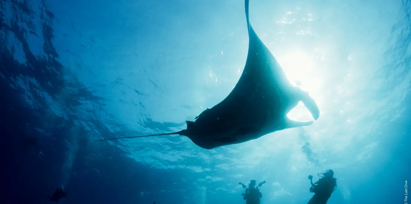 OCEAN FILM TOUR Vol. 12 