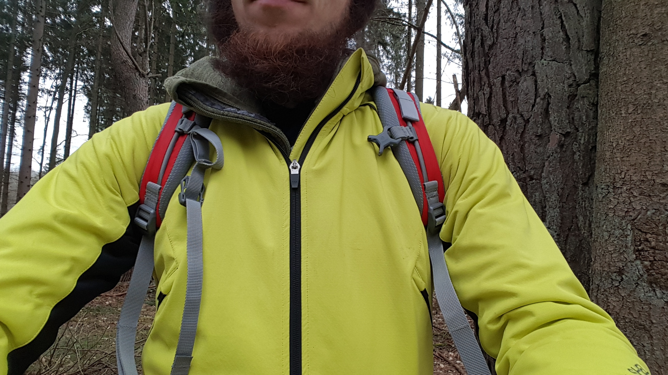 auf nem Waldspaziergang