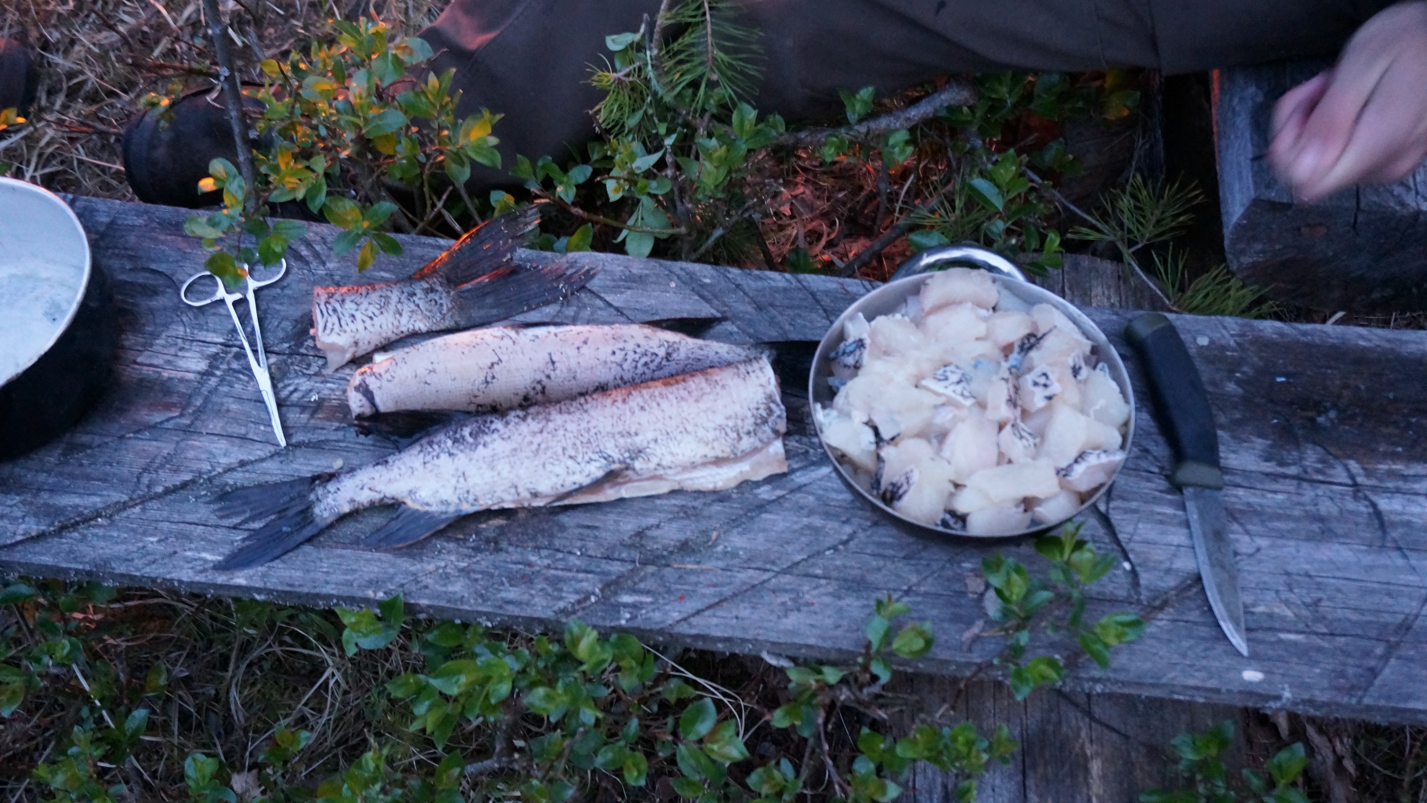 zerlegte Hechte in Schweden
