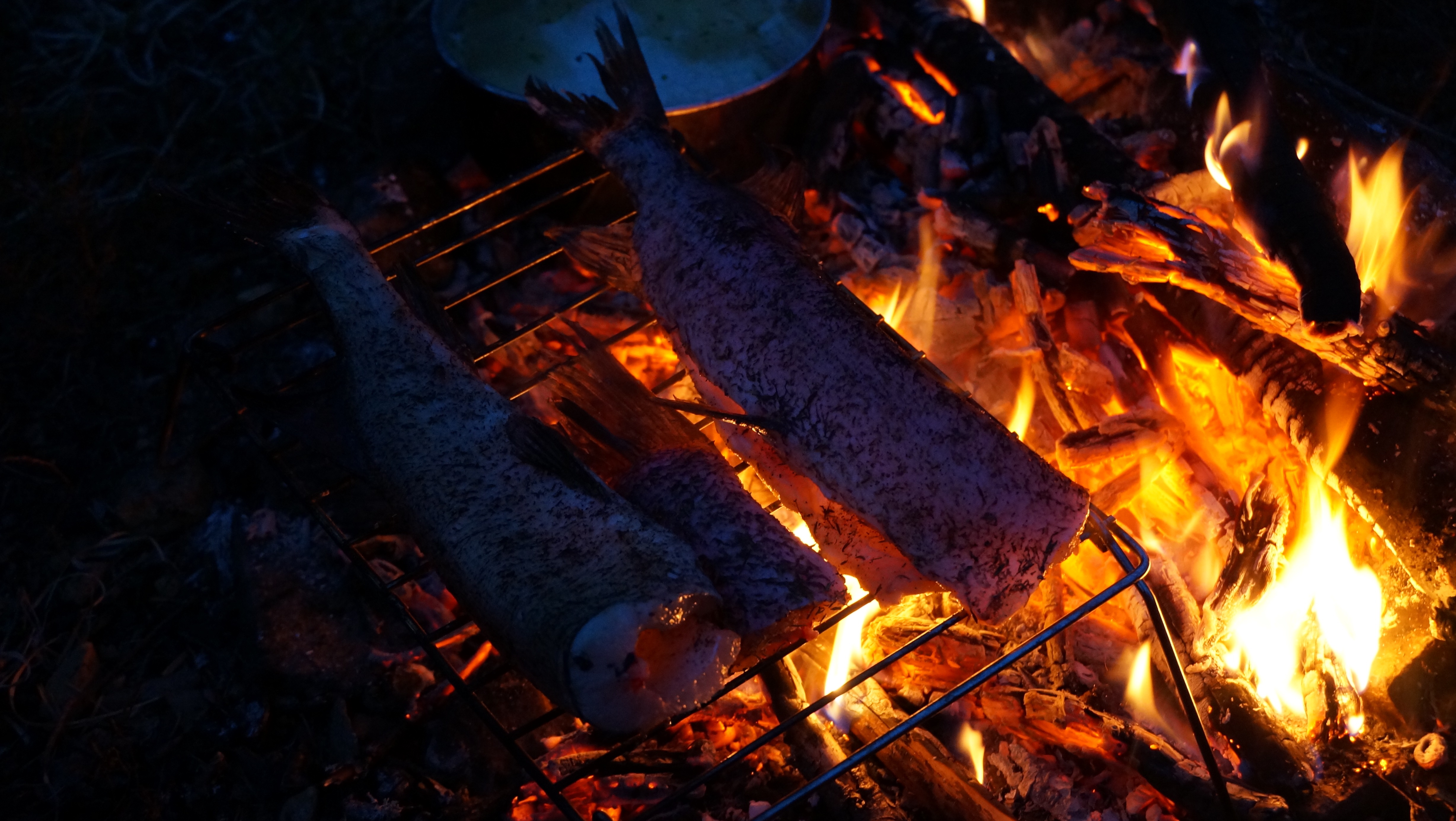 Hecht auf dem Lagerfeuer in Schweden