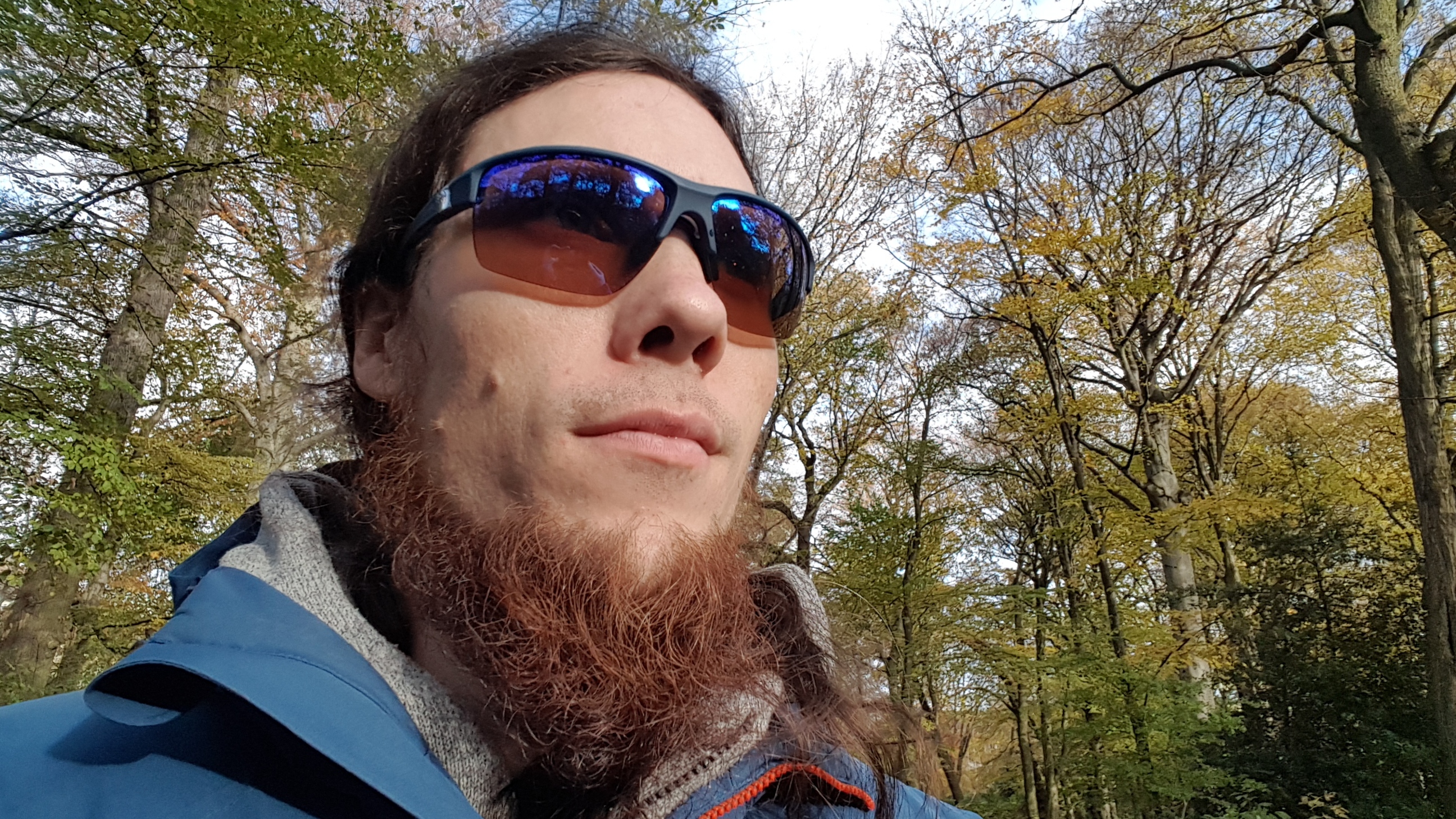 im Wald 2