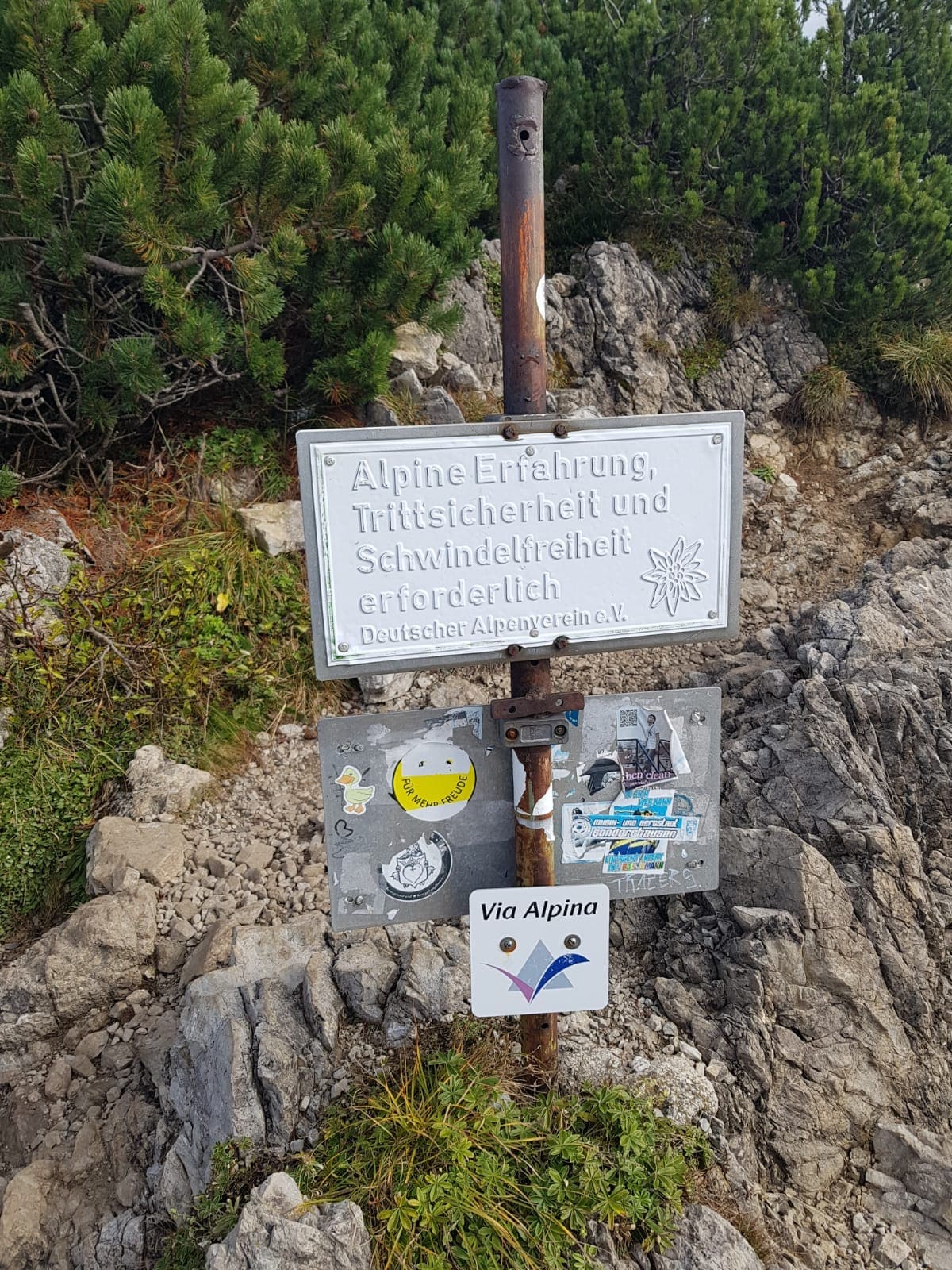Natürlich mit Öffis
