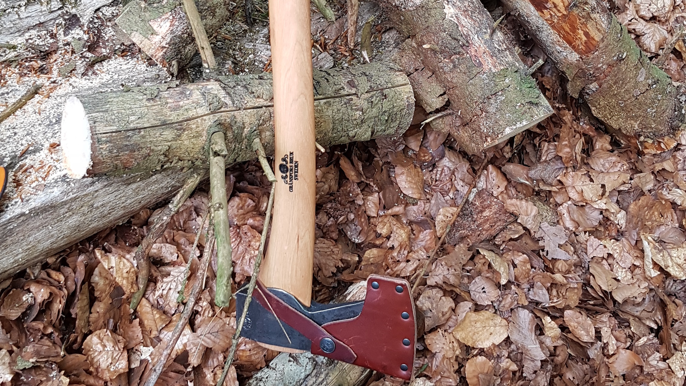 Beil und zersägter Stamm