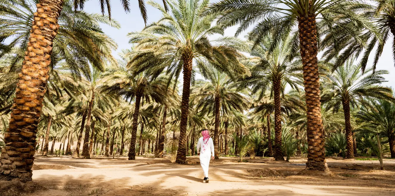 AlUla Hiking in Saudi-Arabien