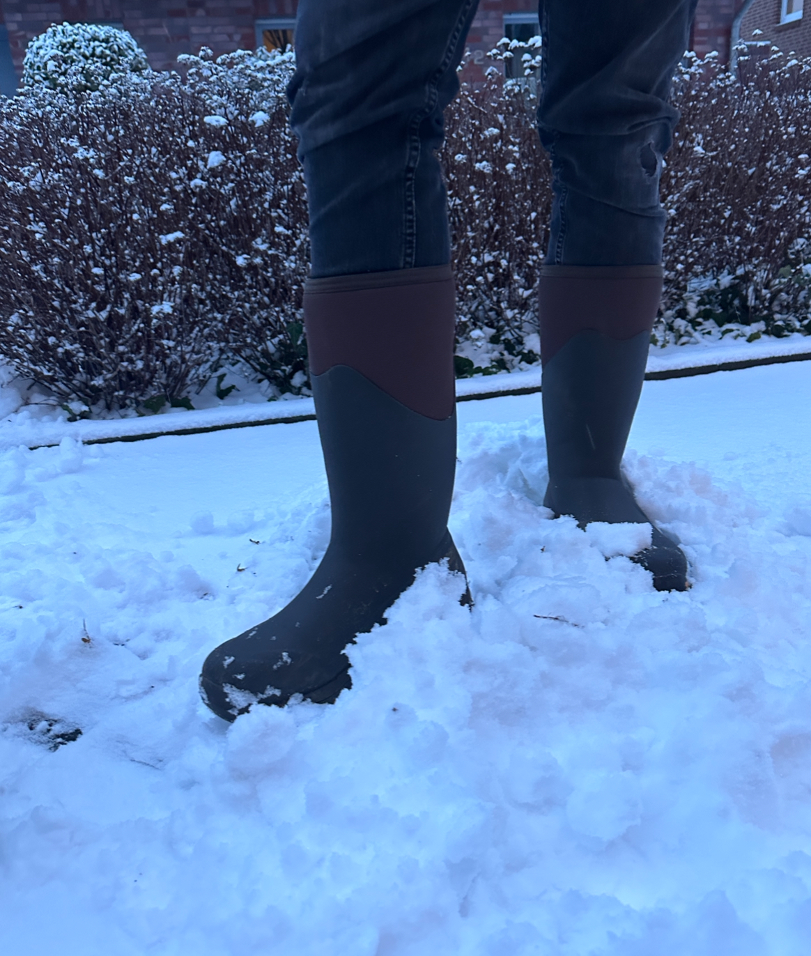 Im Schnee