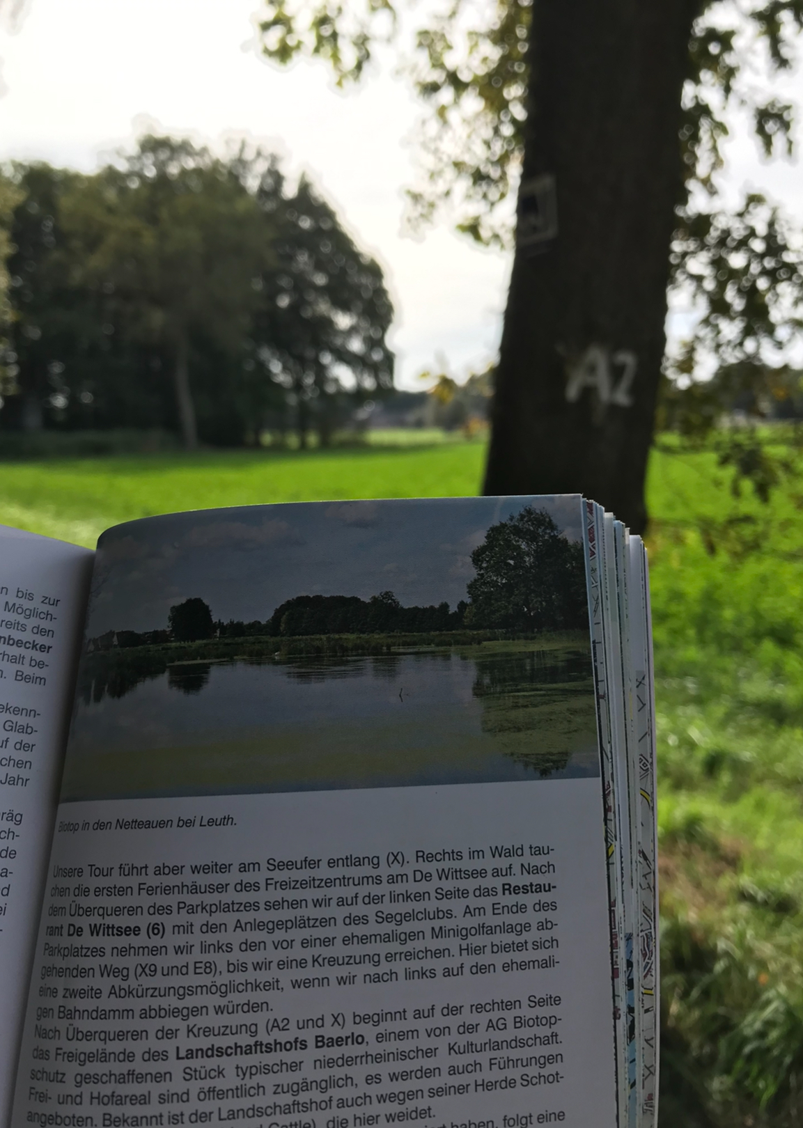 Kennzeichnung