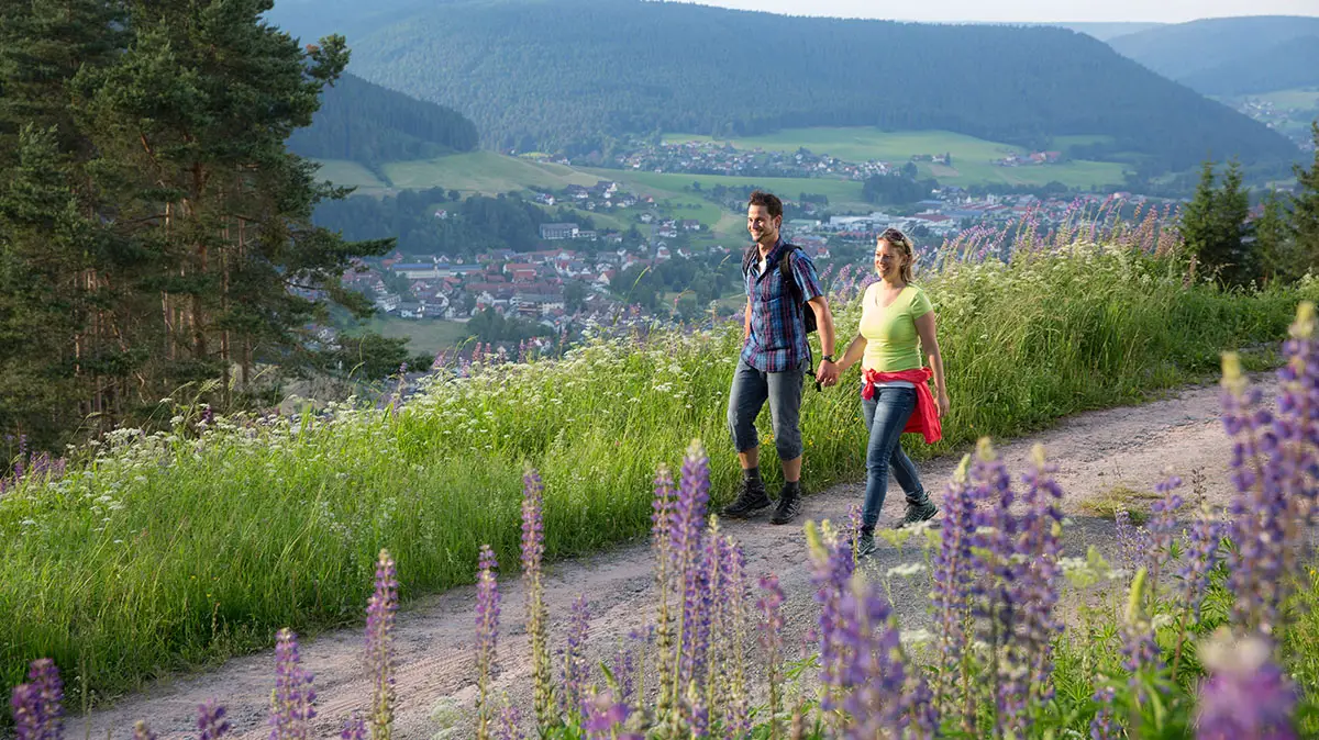 Wandern Baiersbronn Schwarzwald