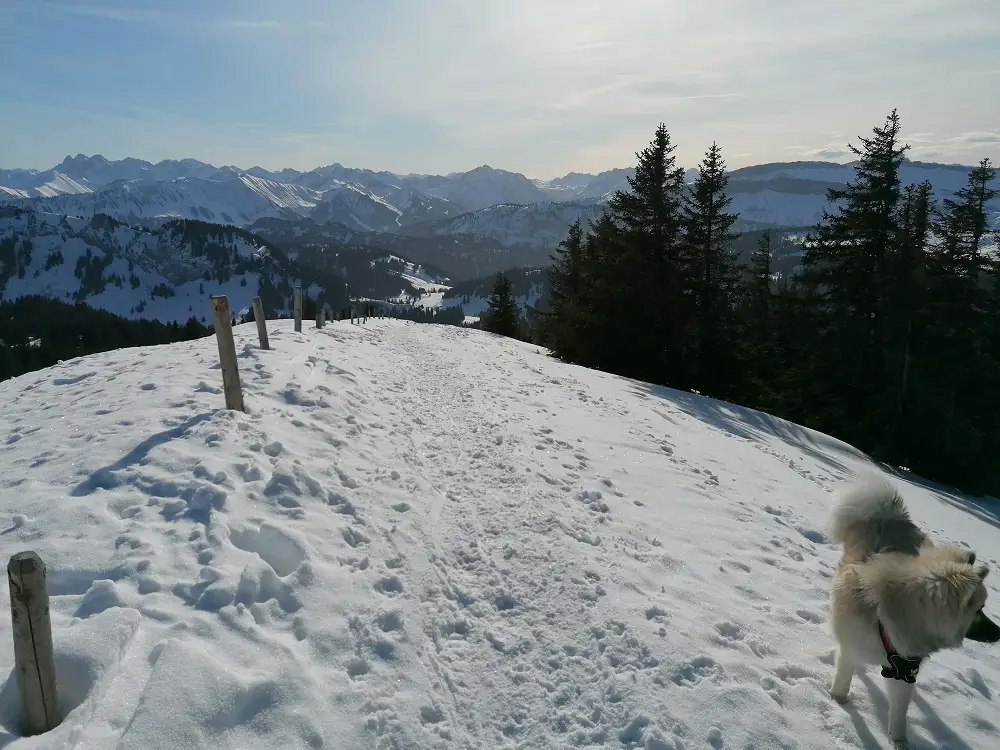 Abstieg, Blick auf Oberstorfer Alpen