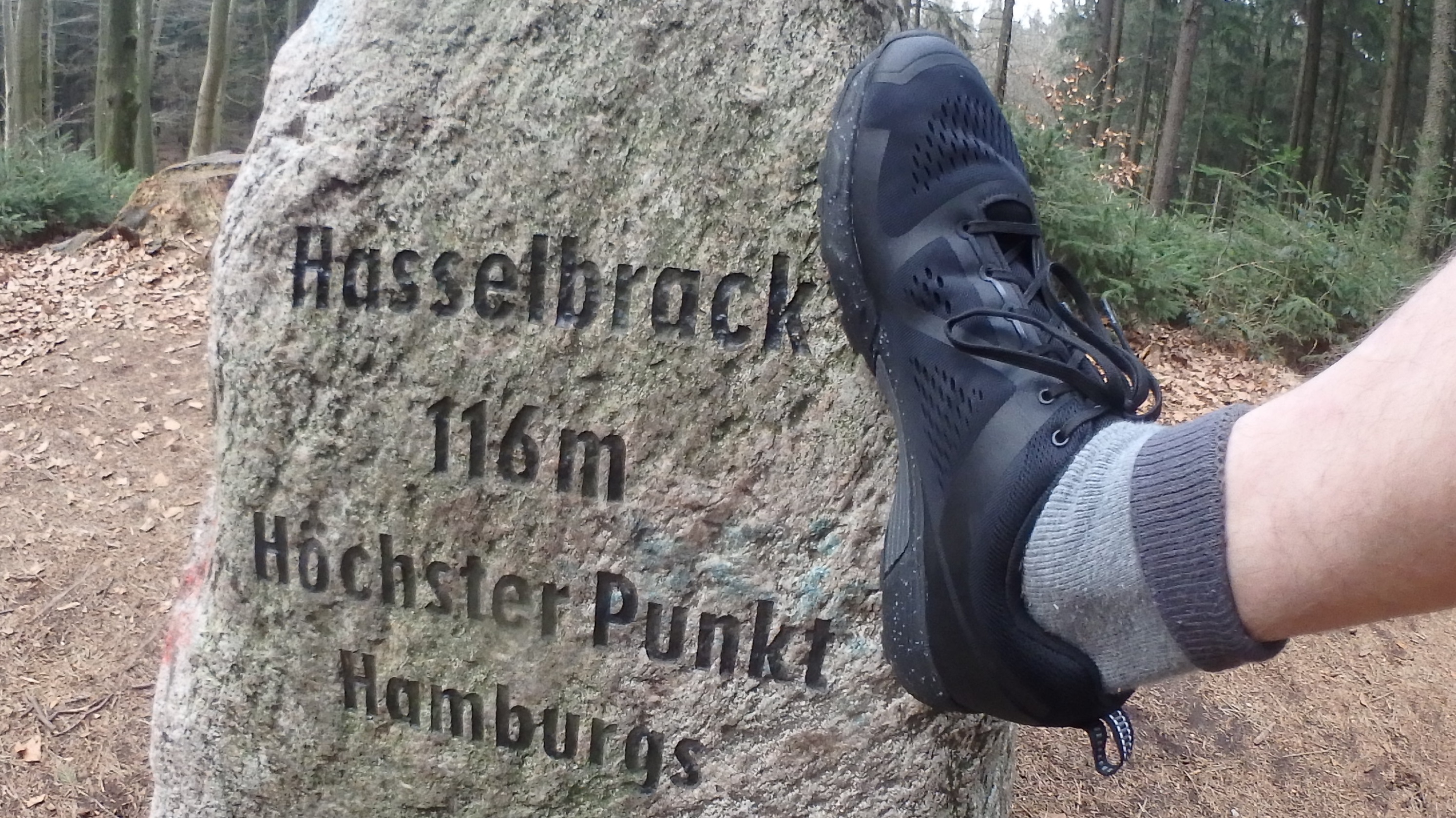 auf dem Hasselbrack mit 116m
