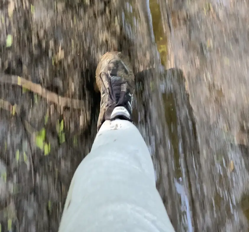 Laufbild