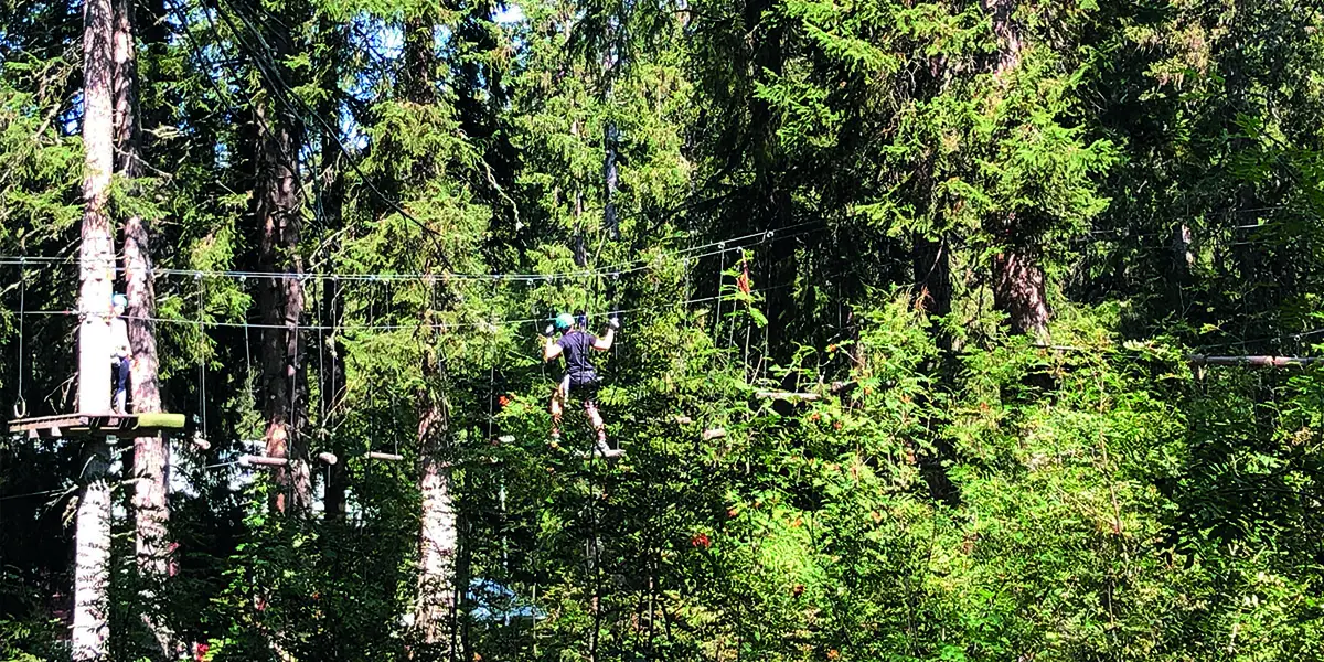 Braun Company Events_Hochseilpark