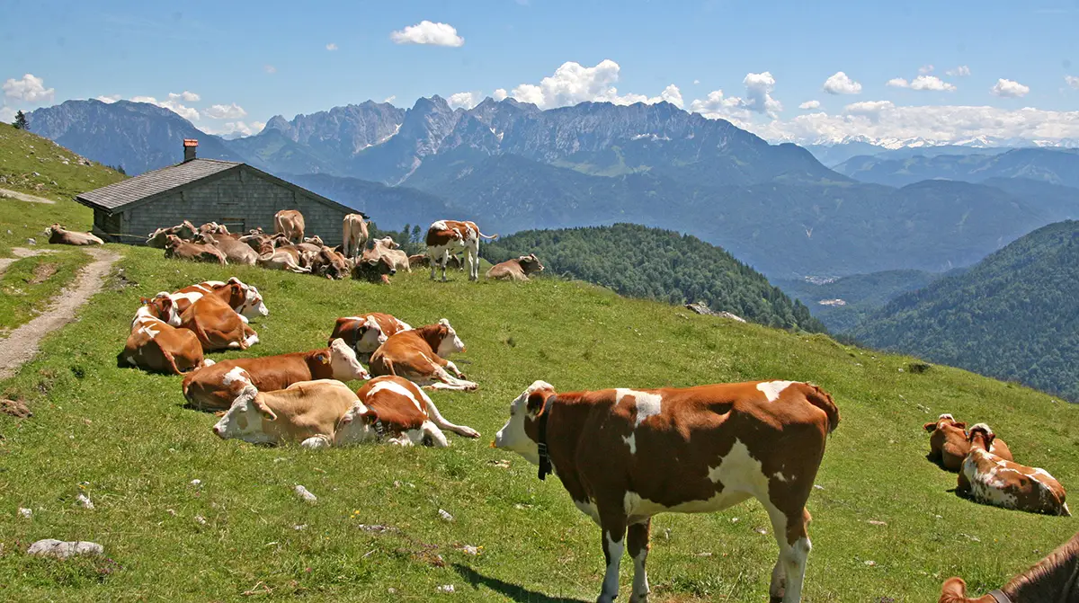 Herbstwanderungen Oberaudorf