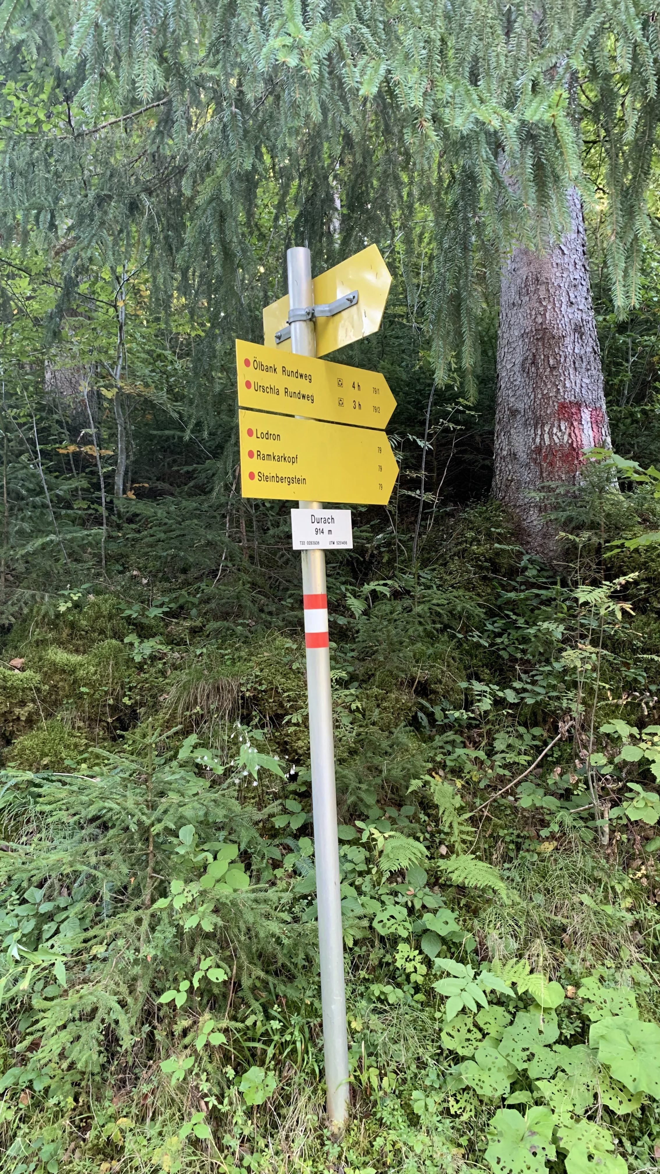 Wegweiser