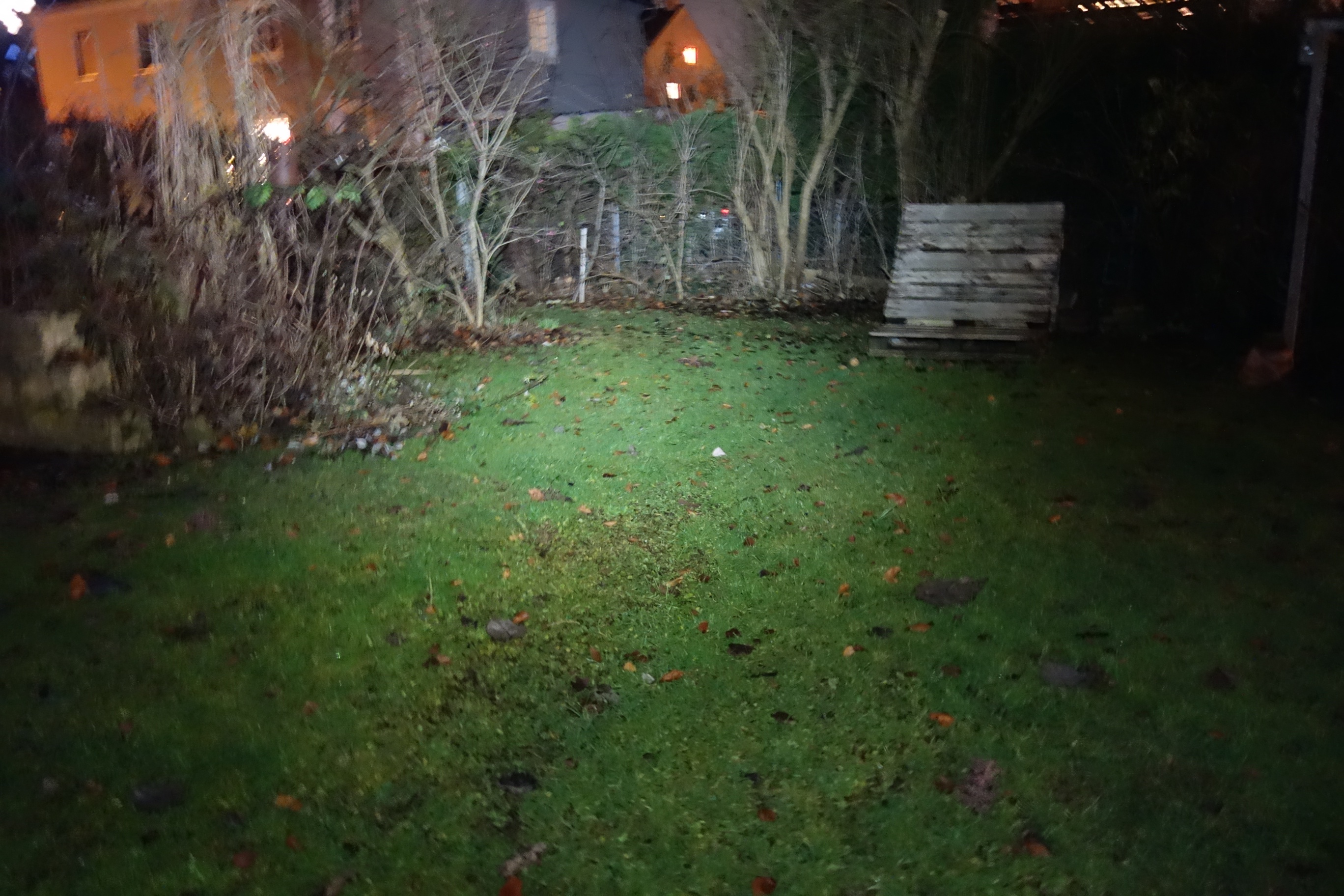 Blick in den Garten mit der Stirnlampe