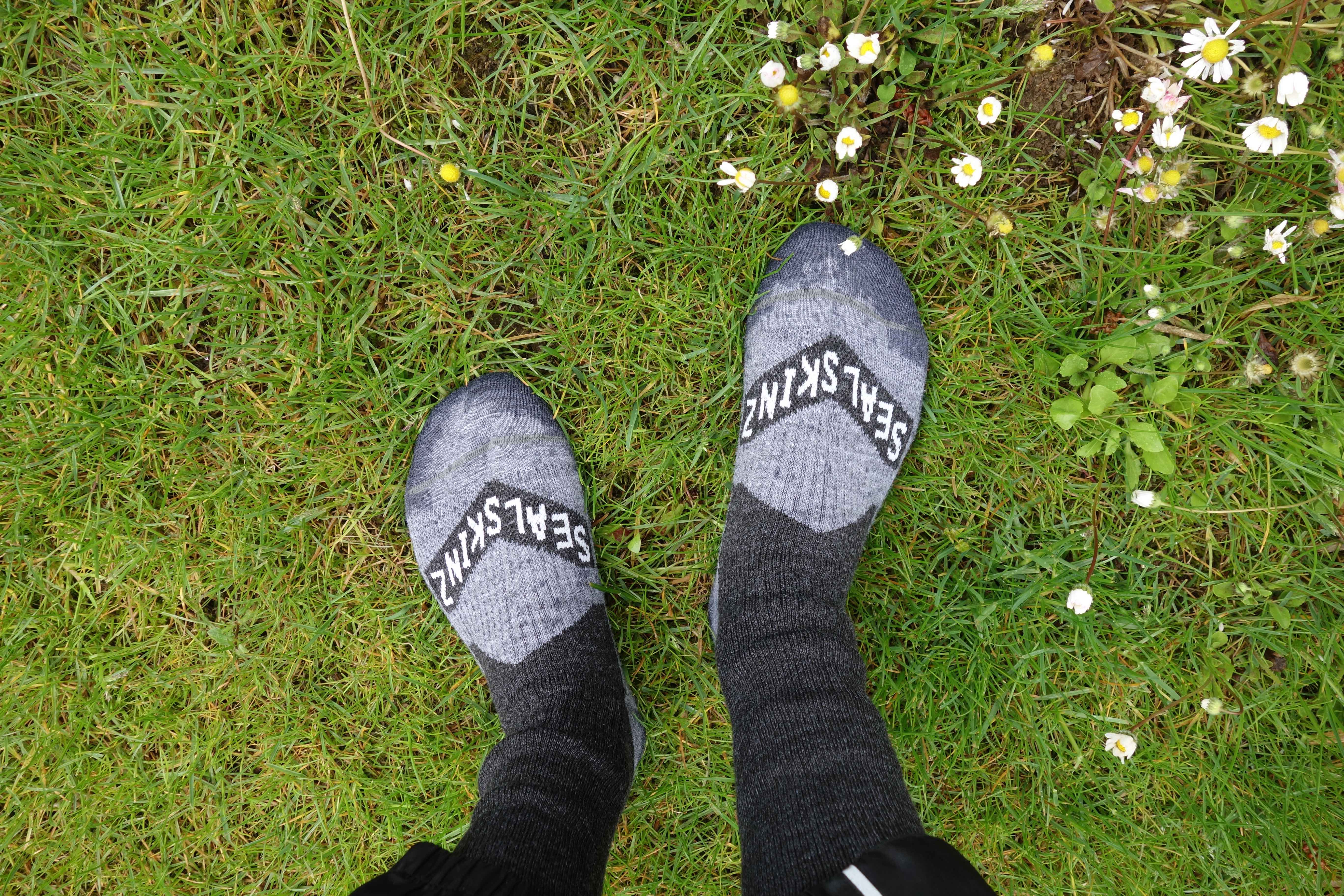 Strumpfsock im nassen Gras