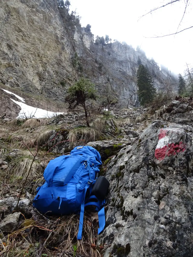 Bach Packster 33R