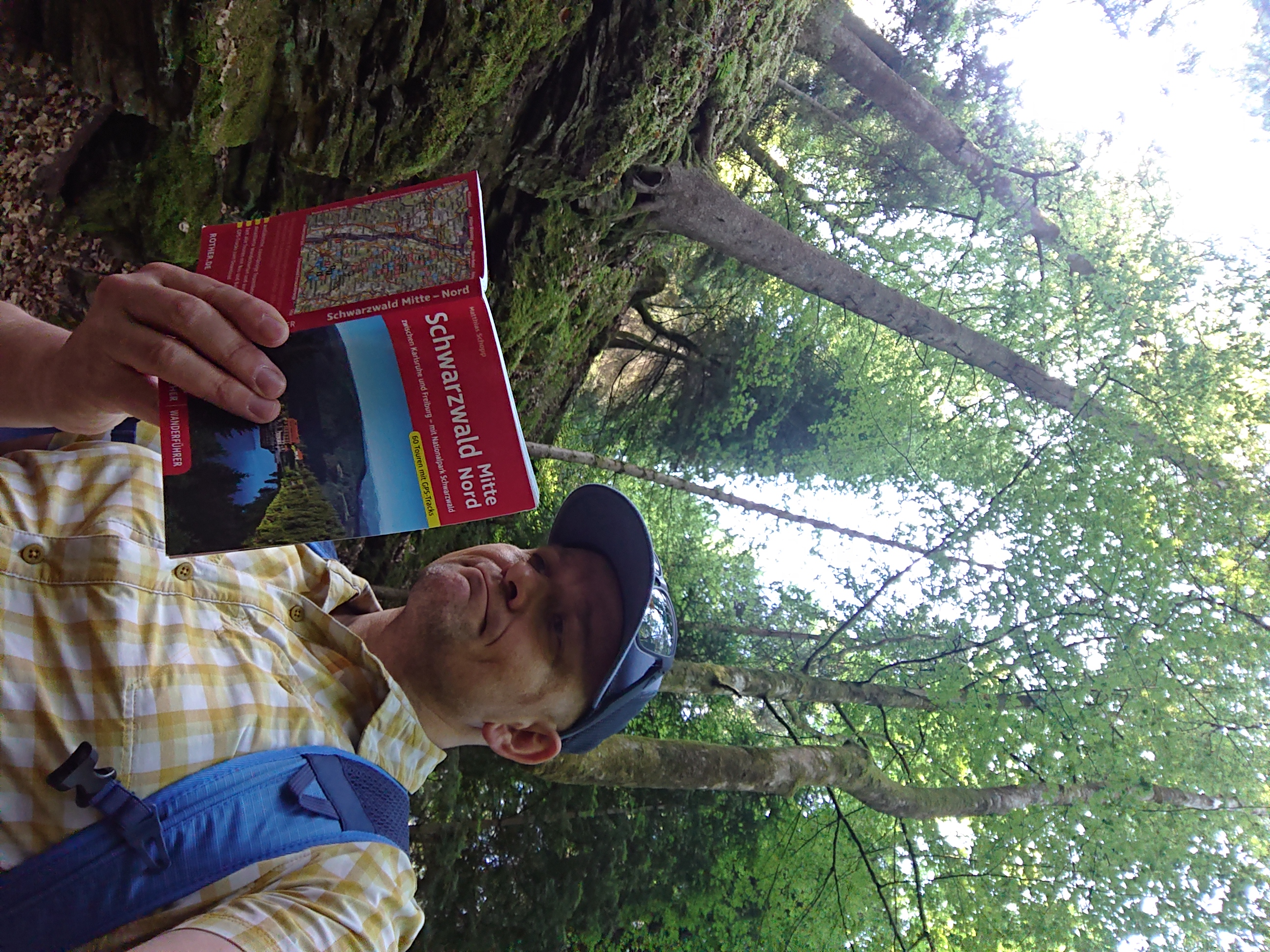 Lesen im Wald