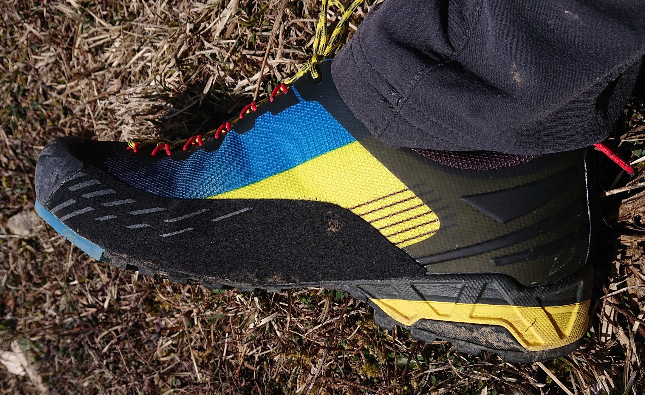 Schuh von der Seite betrachtet