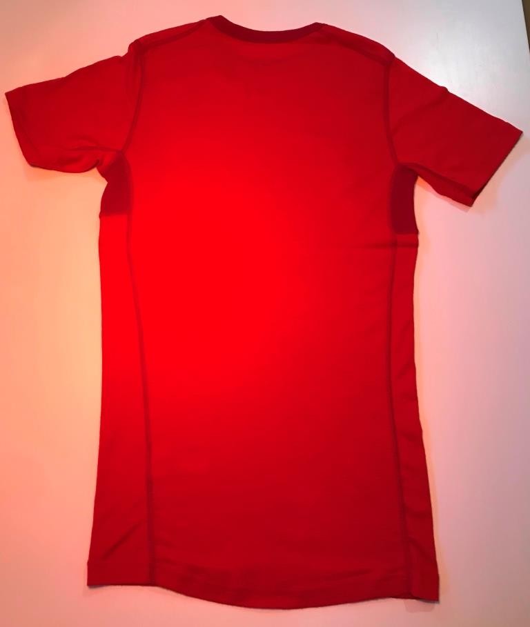 Devold Hiking Shirt
