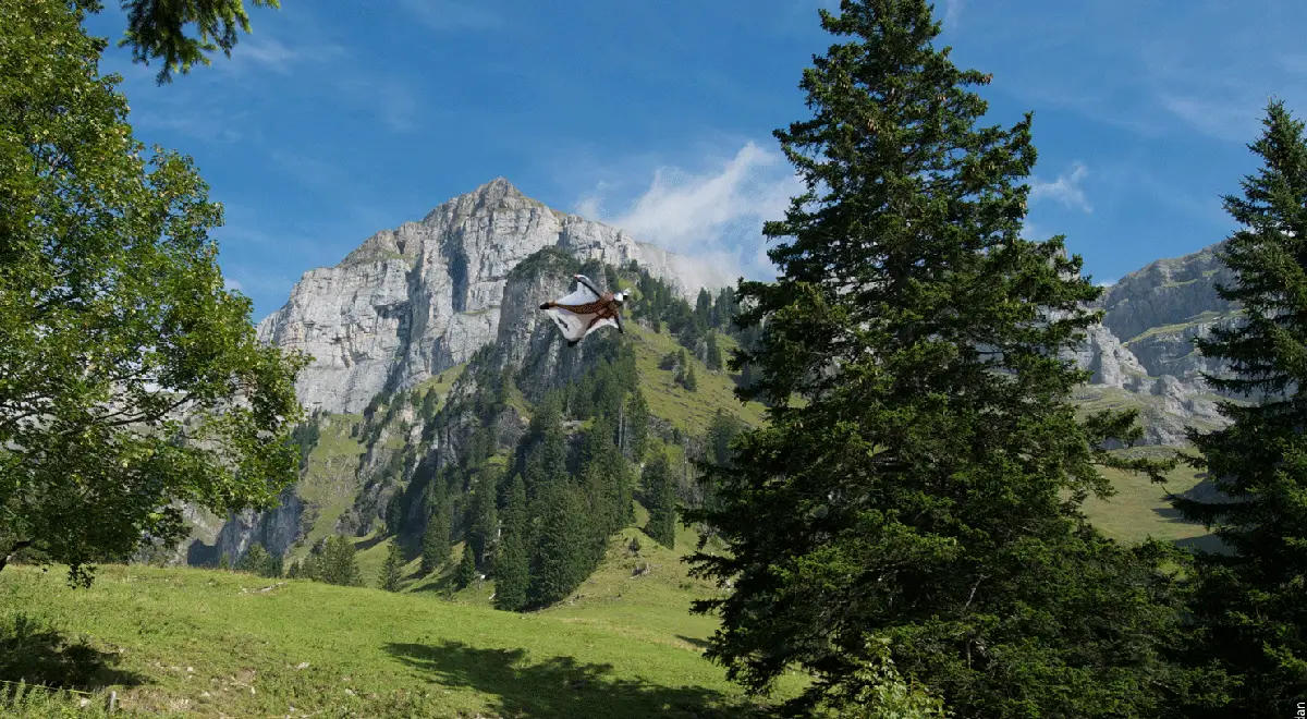 OUTSIDEstories und EOFT Basecamp Episode Four Birdmen