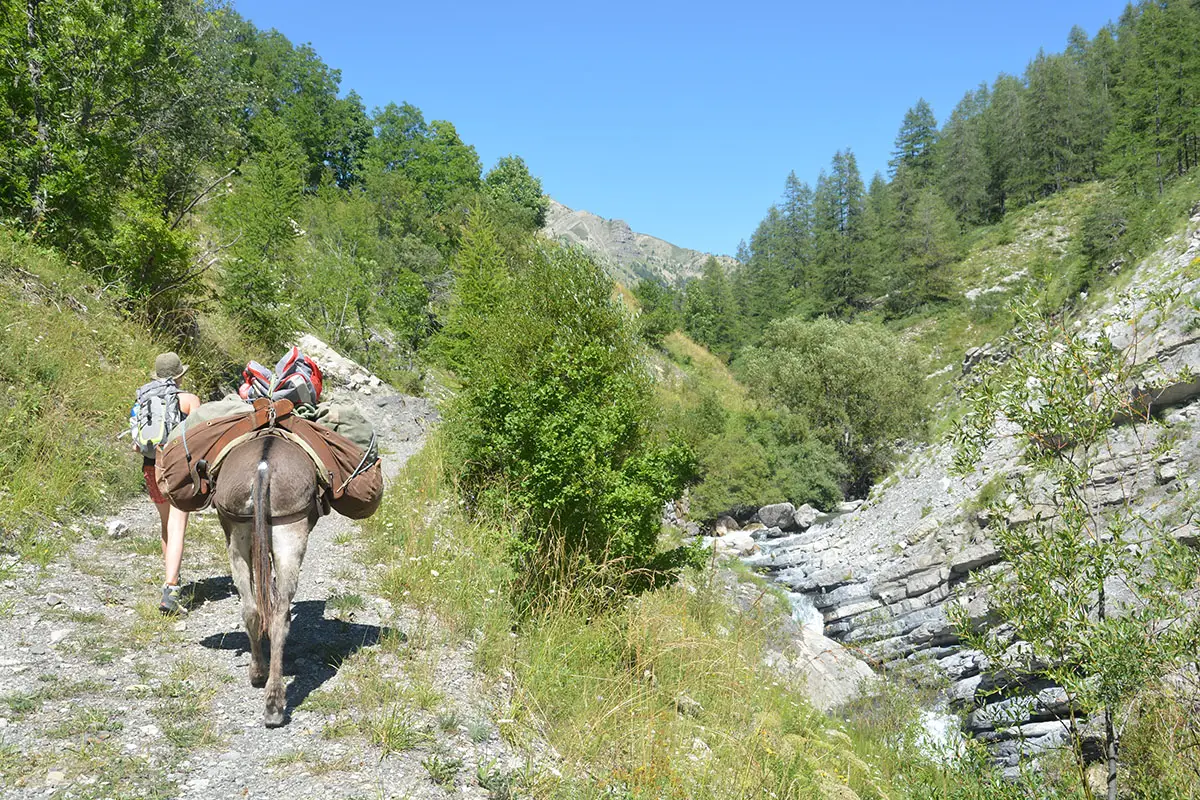Weitwandern mit Esel -Mercantour-Südfrankreich-Esel Ouzo