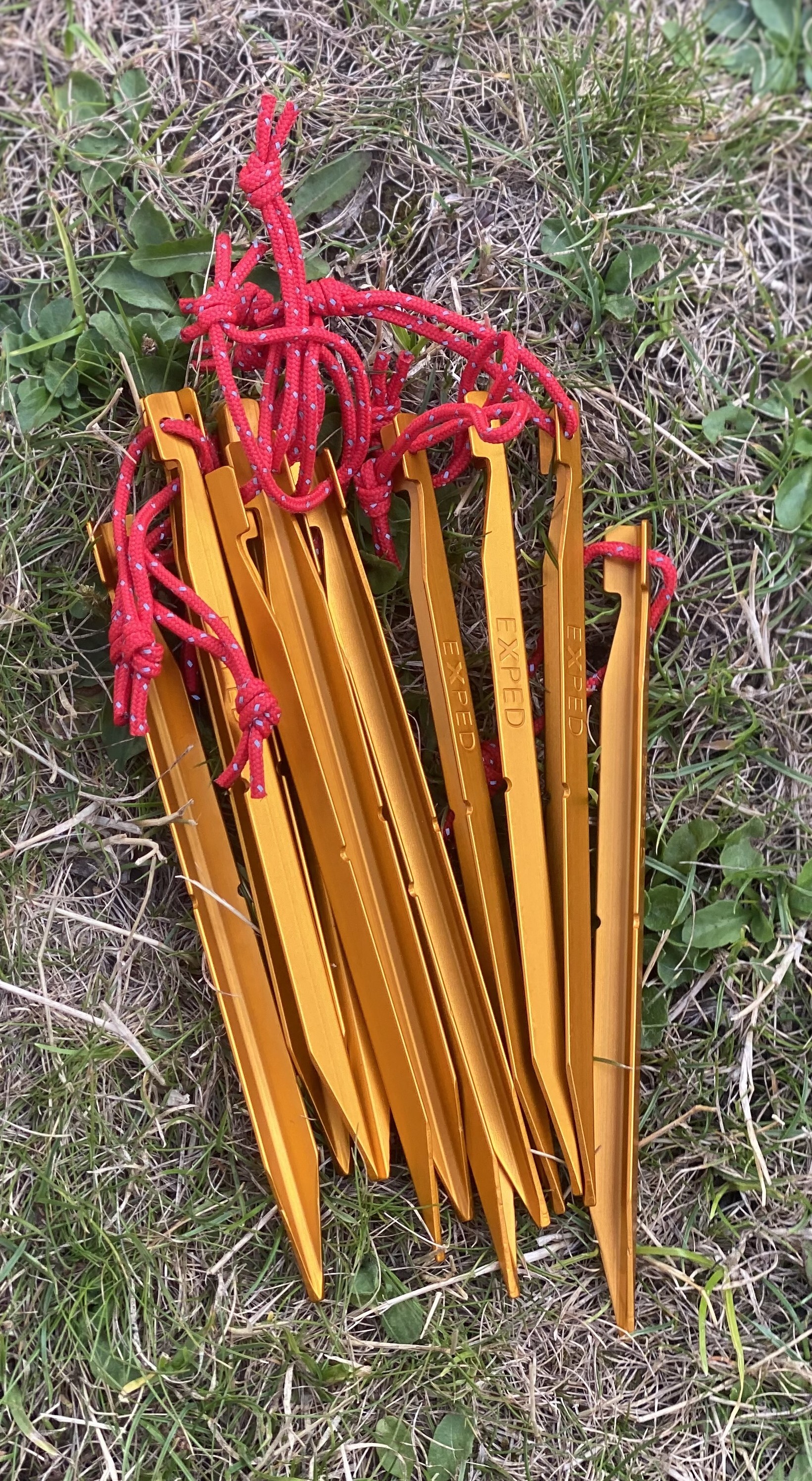 Erdnägel