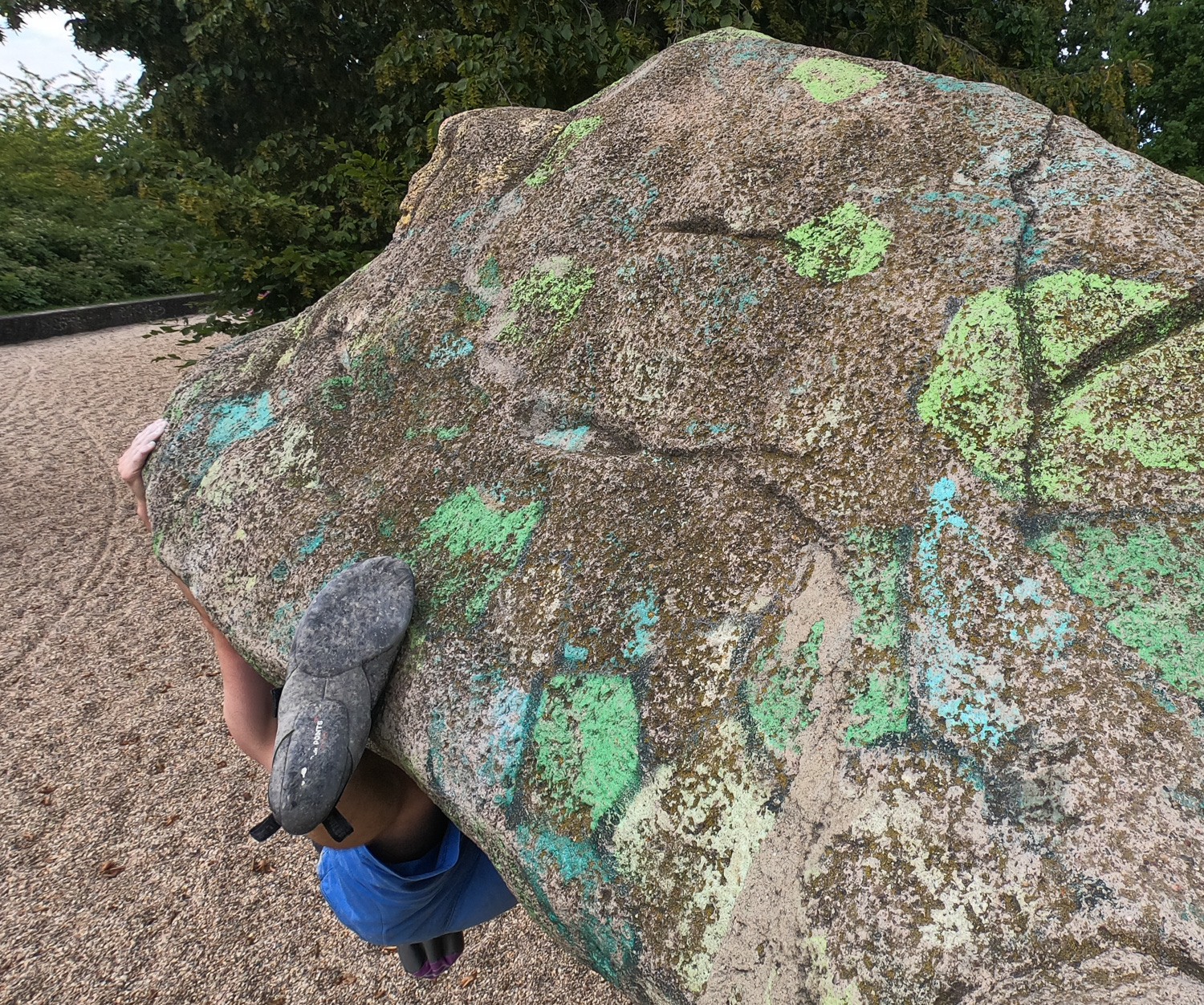 Toehook 1