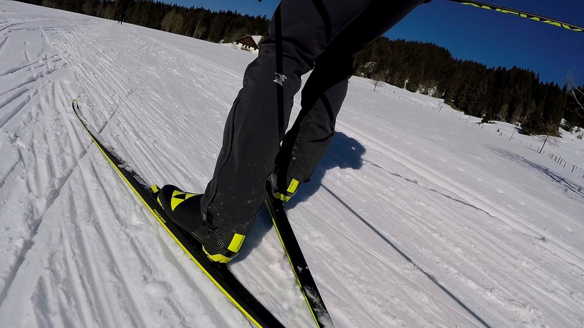 Schuh beim Skating