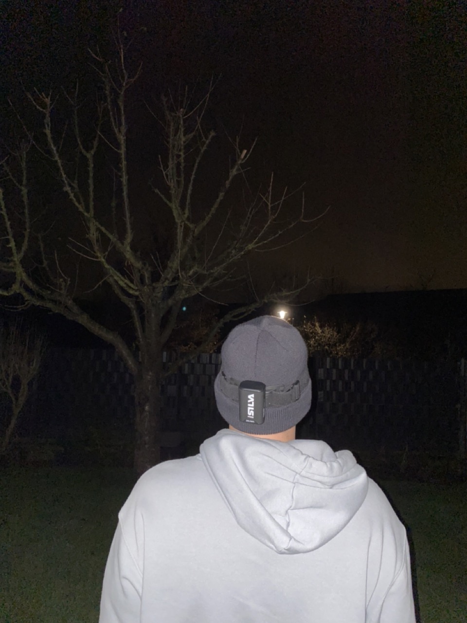 Traumbild