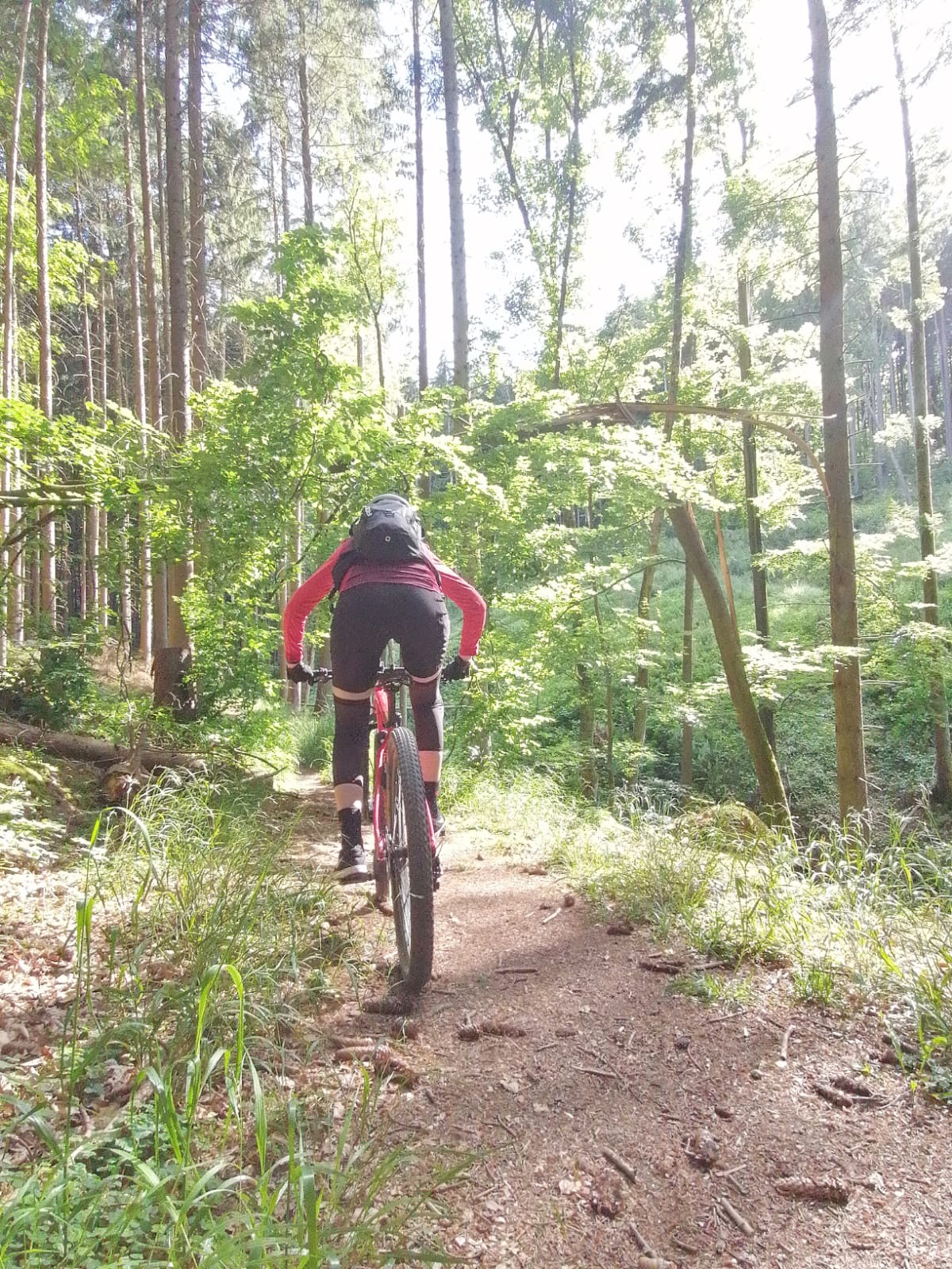MTB ST 900