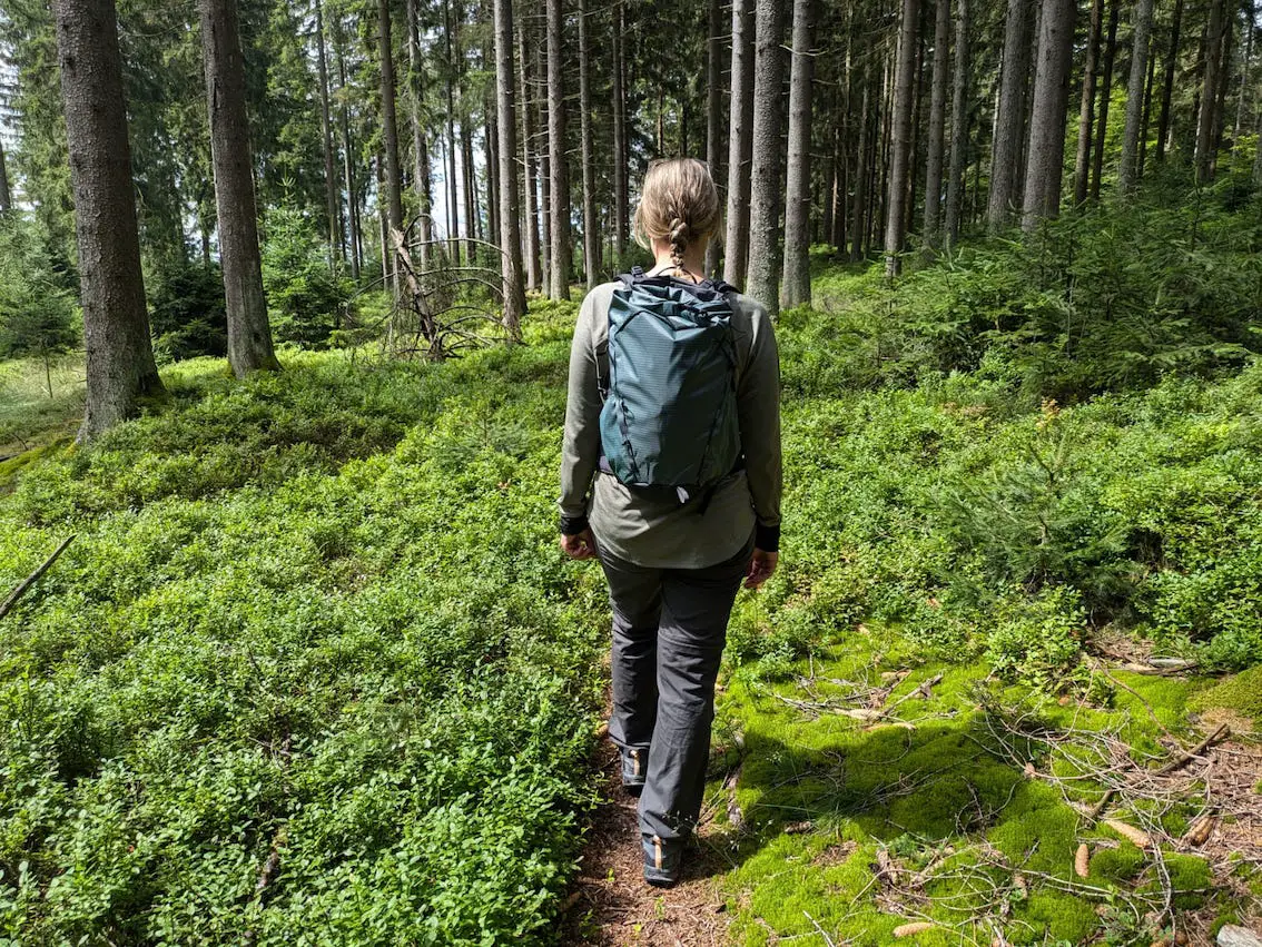 Waldwanderung